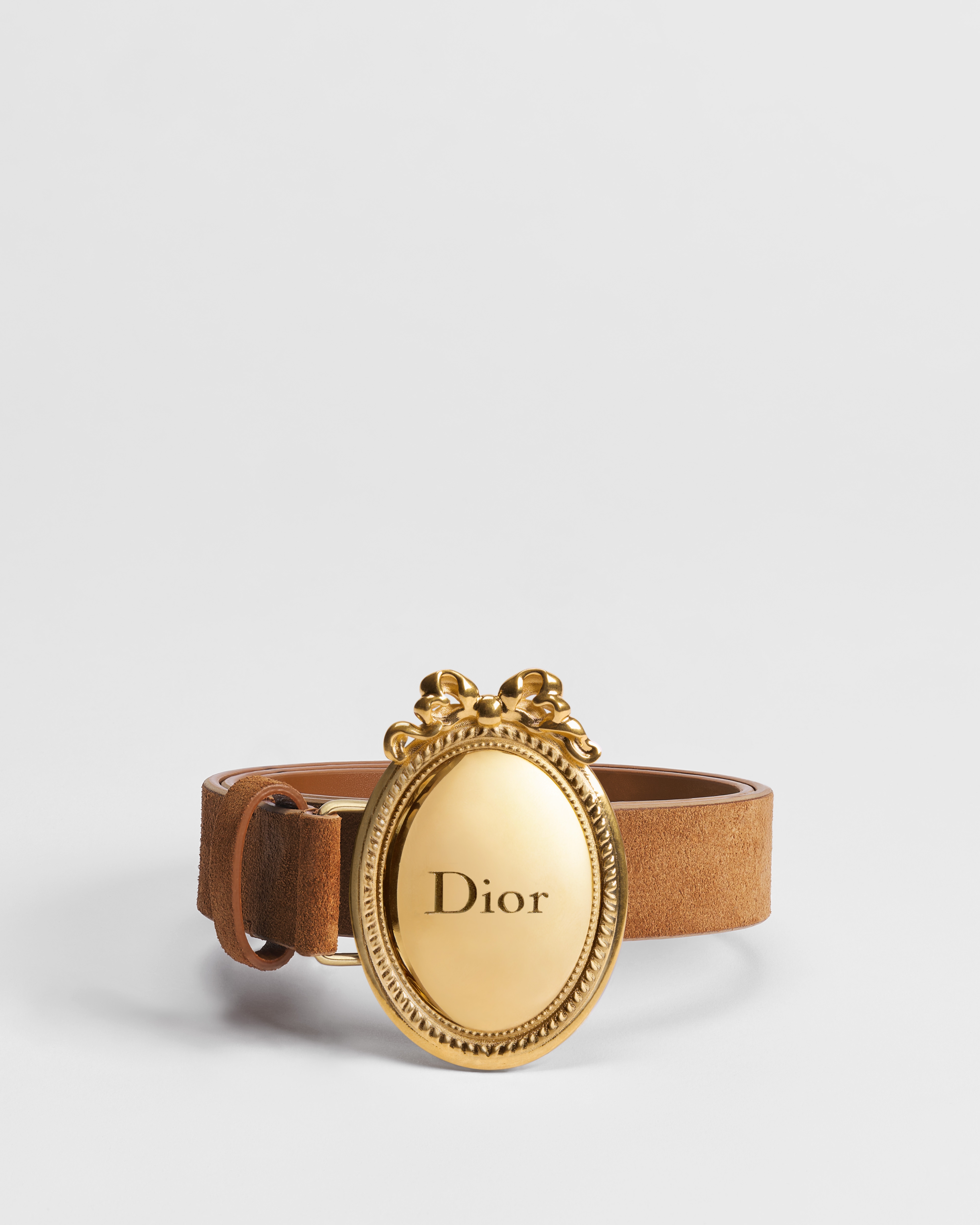 Dior Médaillon Belt Marron Bobby Suede Calfskin, 25 MM E01