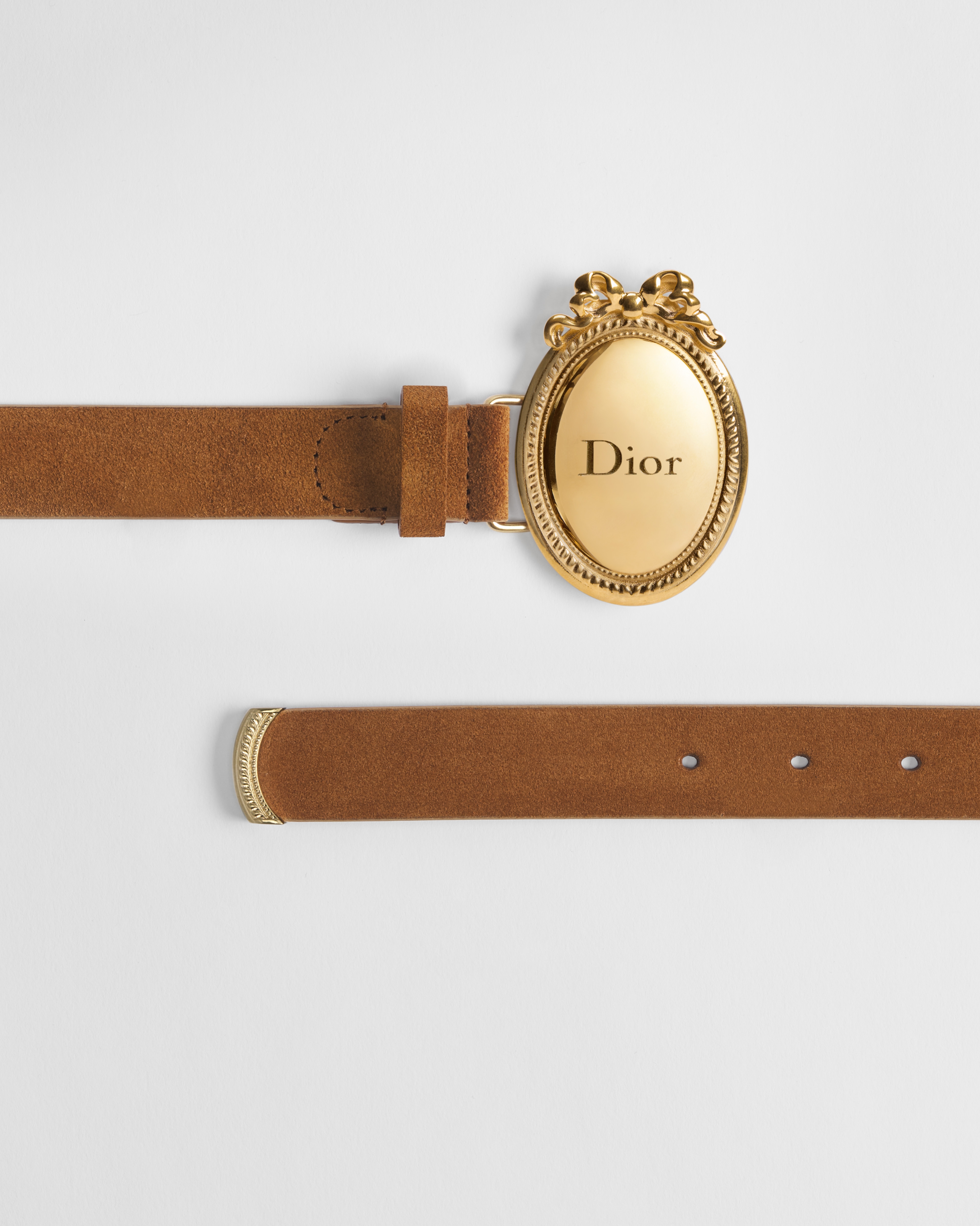 Dior Médaillon Belt Marron Bobby Suede Calfskin, 25 MM E06
