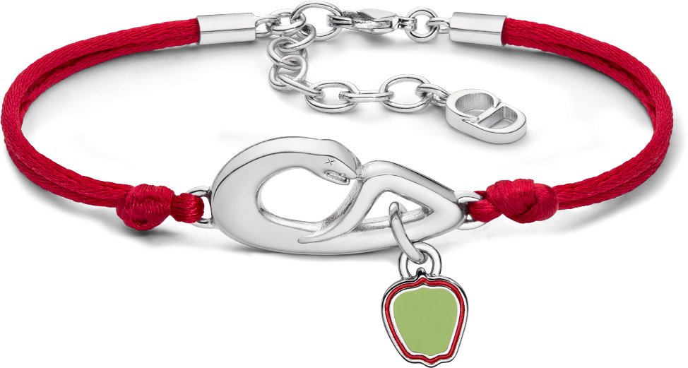 DIOR AND KAWS Bracelet Front view