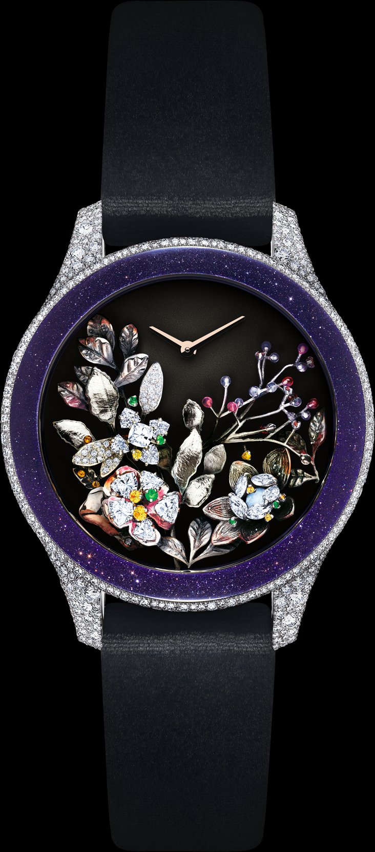 Dior Grand Soir Jardins de Nuit N 9 O 36 MM Quartz Movement DIOR