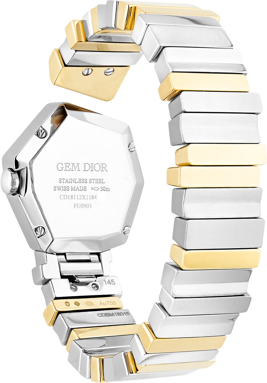 GEM DIOR Unfolded view