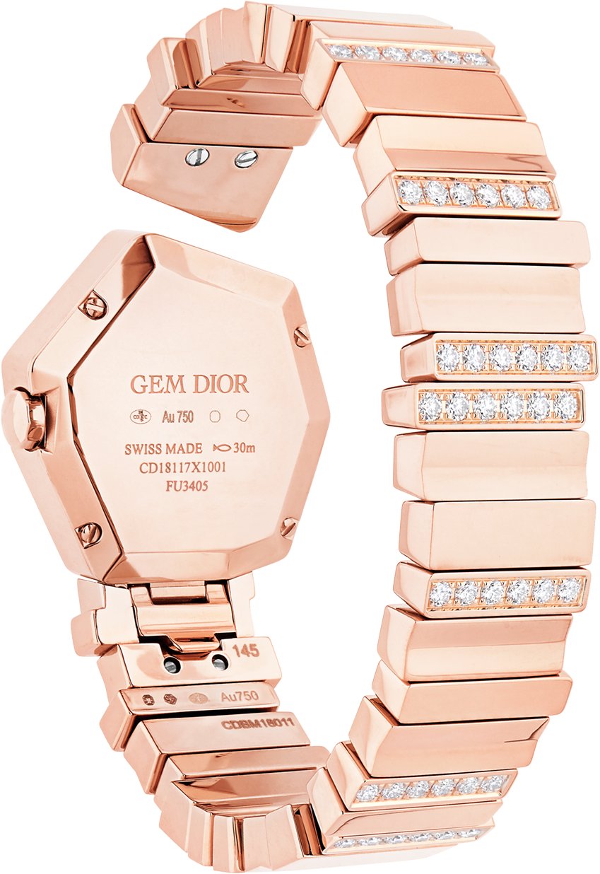 GEM DIOR Unfolded view