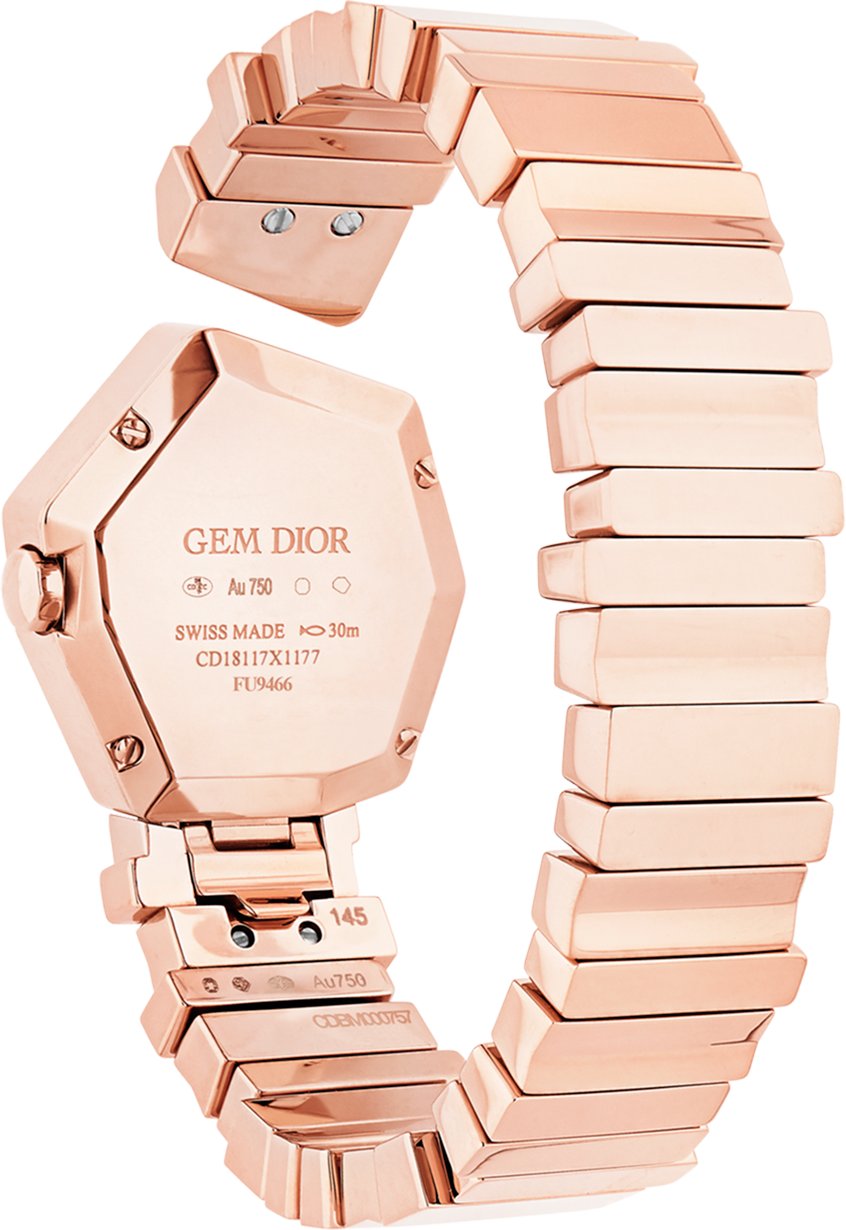 GEM DIOR Unfolded view
