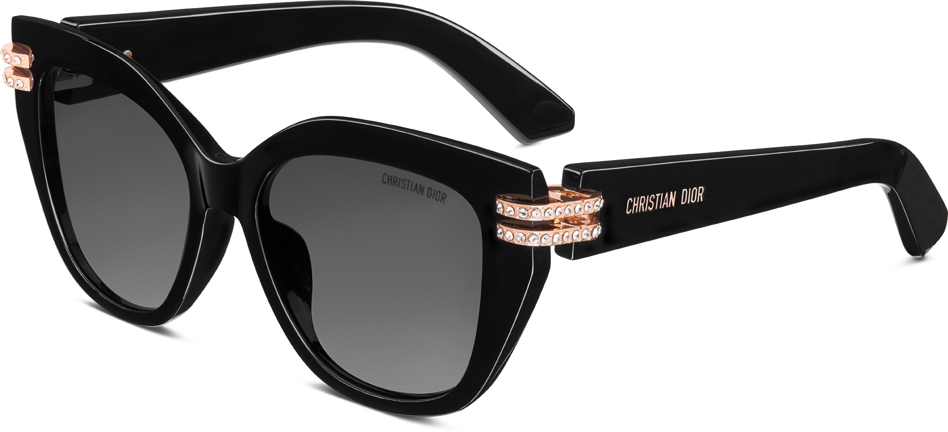 DIOR CDior B4I Black Butterfly Sunglasses Women