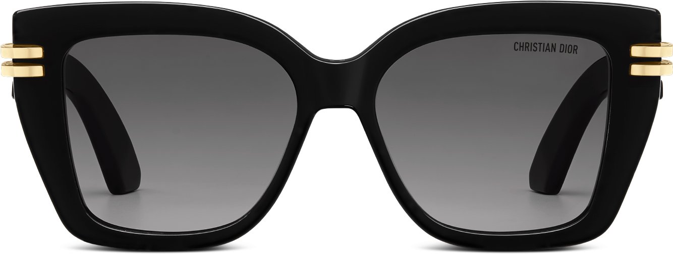 CDior S1I aria_frontView