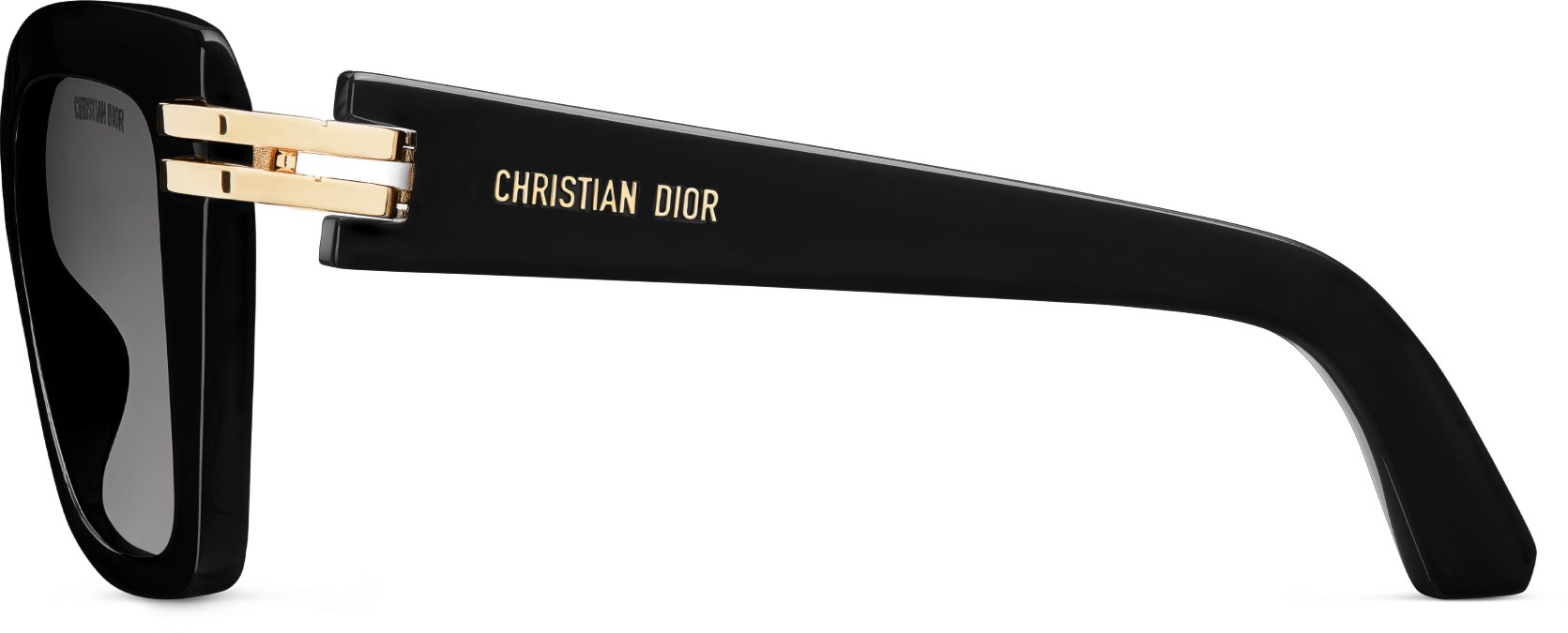 CDior S1I aria_profileView