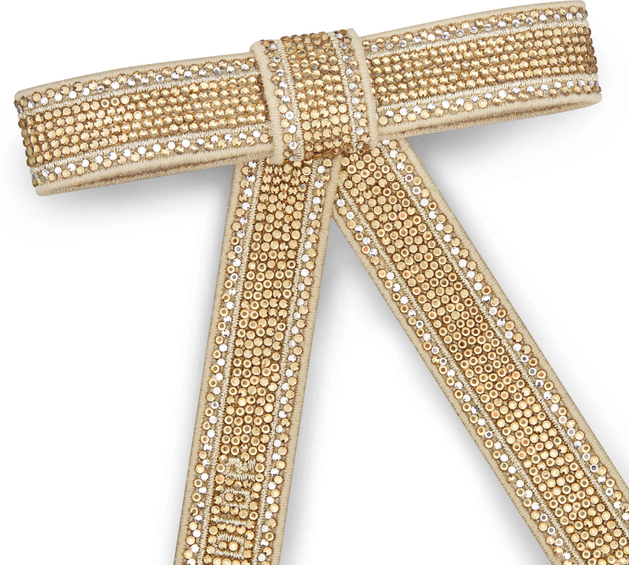 Christian Dior Embroidered Dior Twist Bow Detailed view