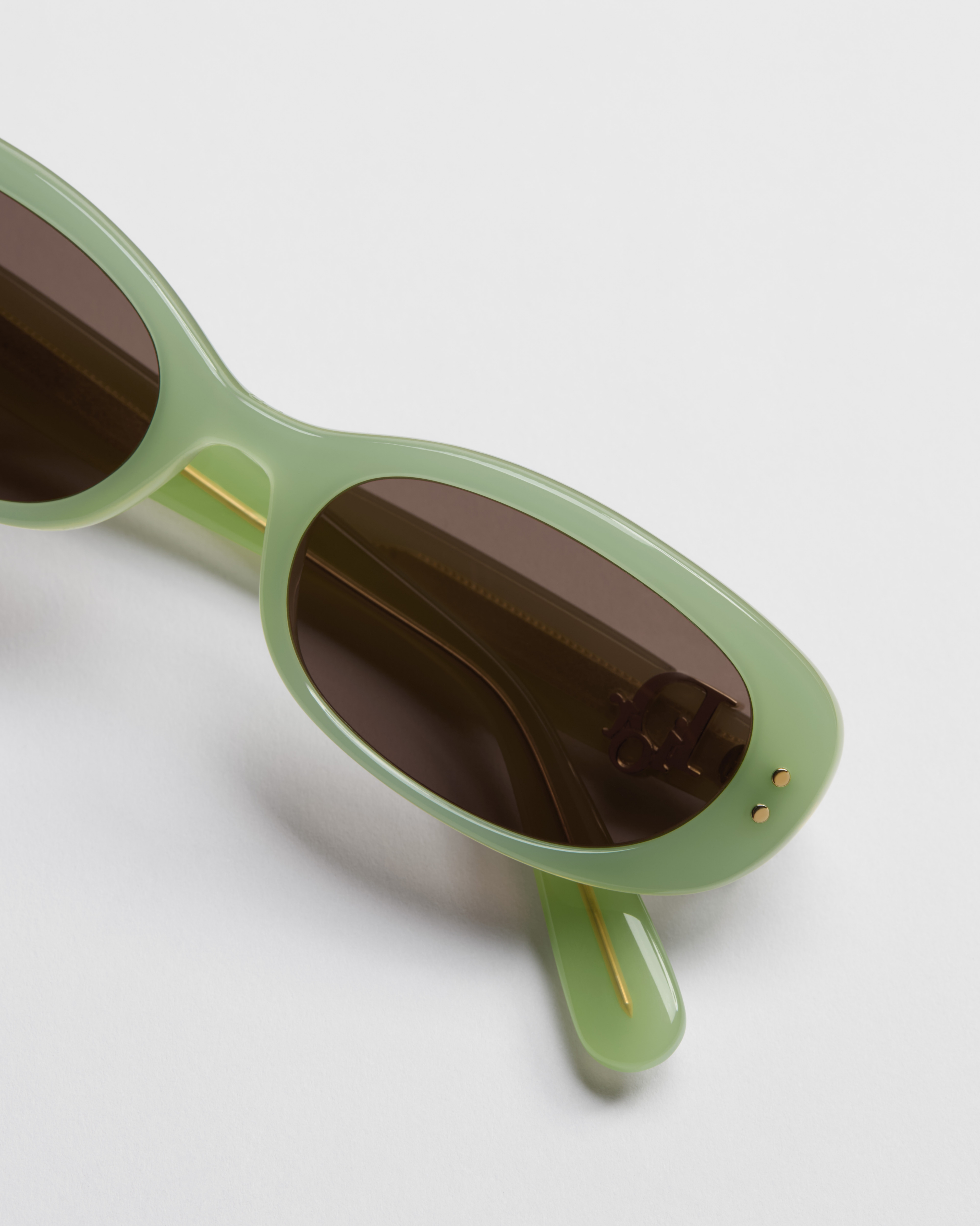Dior Oblique B1I