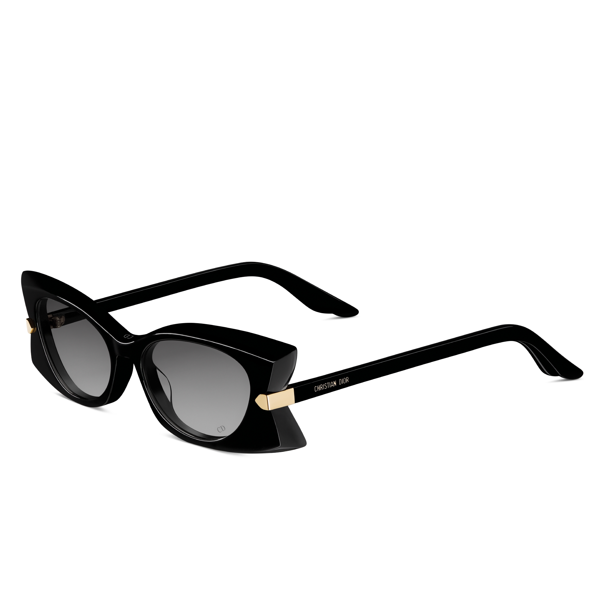 DiorButterfly S2I Transparent Blue Rectangular Sunglasses | DIOR