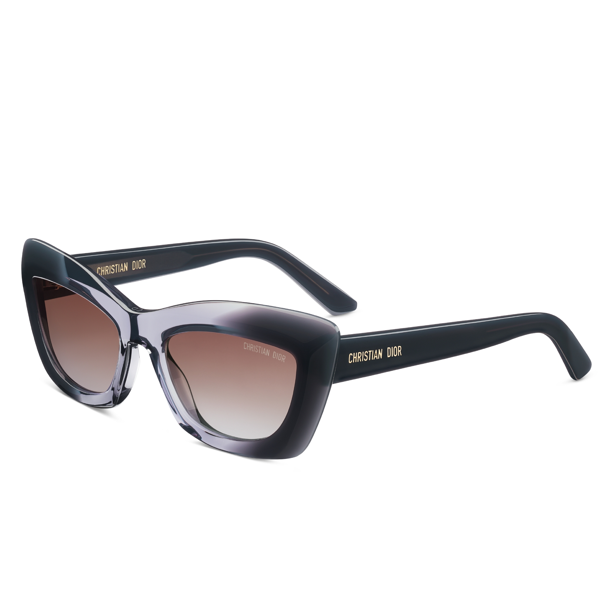 DiorMidnight B3I Black Butterfly Sunglasses | DIOR