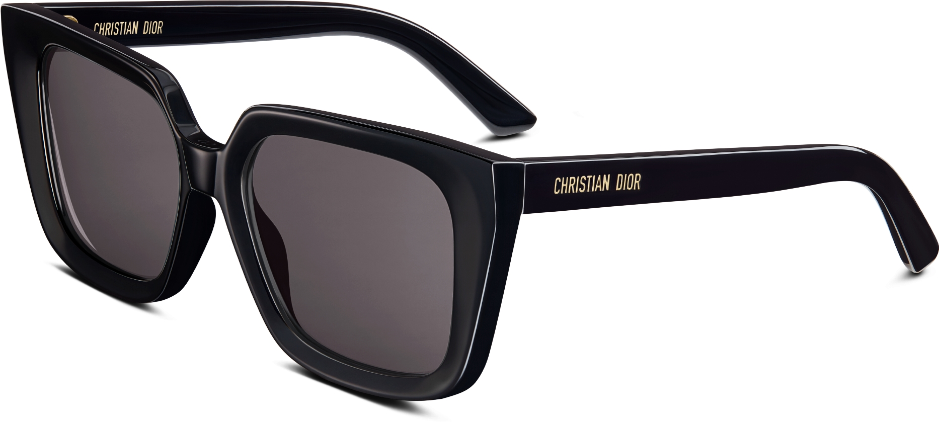 DiorMidnight S1I Black Square Sunglasses DIOR