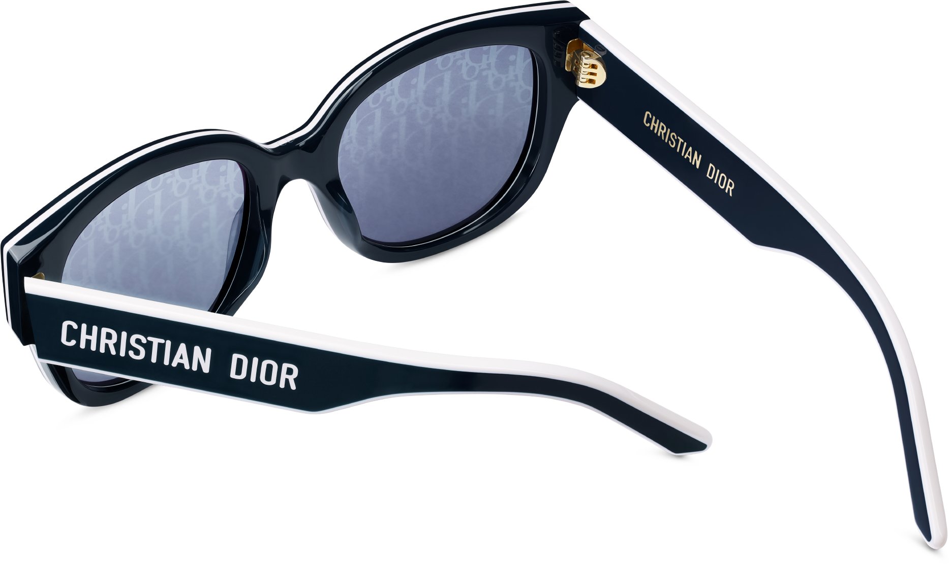 DiorPacific B2I aria_detailedView