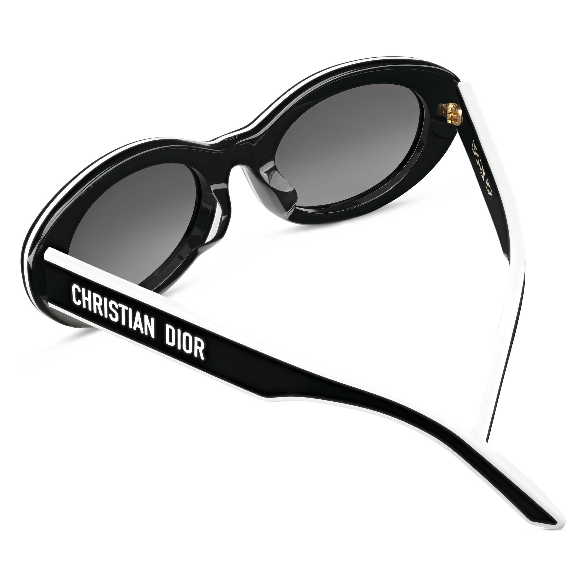 DIOR | DiorPacific サングラス オーバル