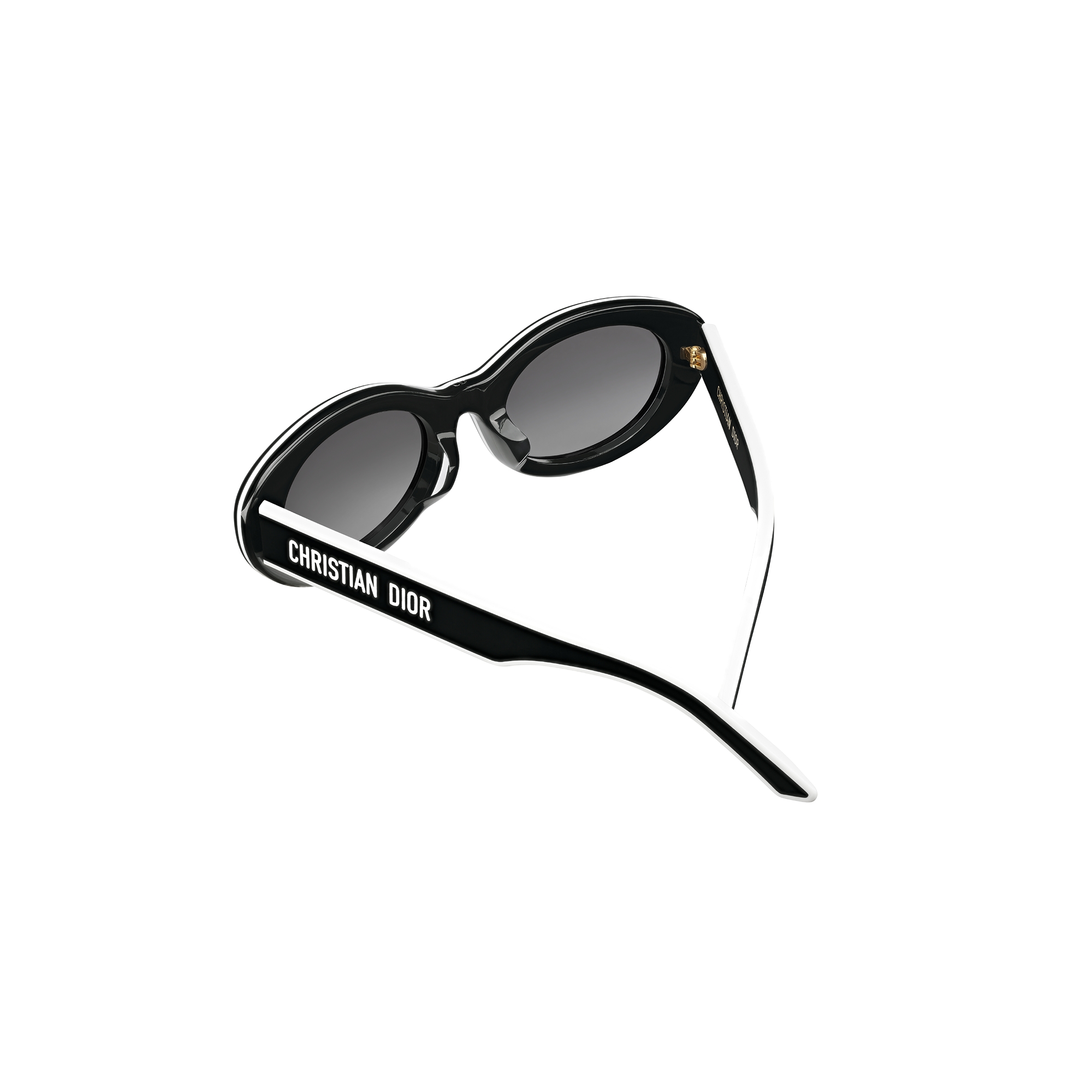 DiorPacific B4F Black Oval Sunglasses E09