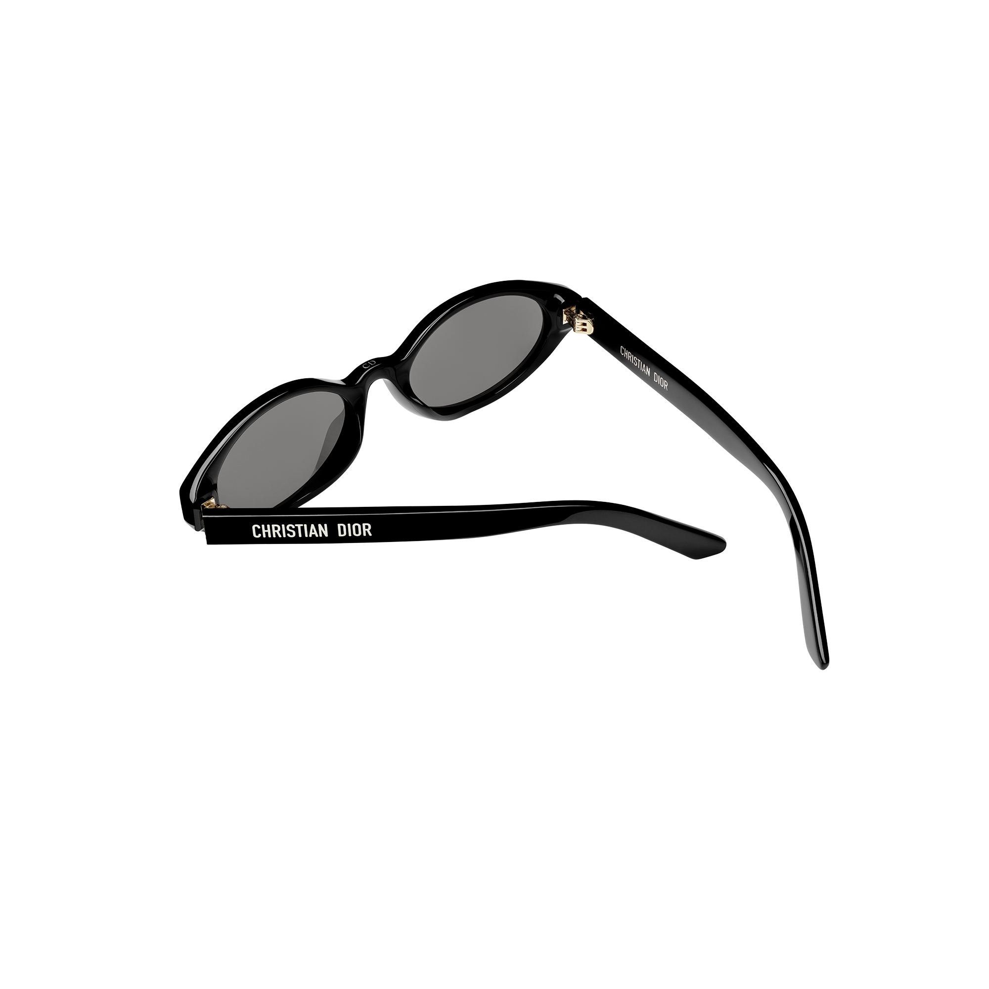 DiorPacific R1F Black Oval Sunglasses E09