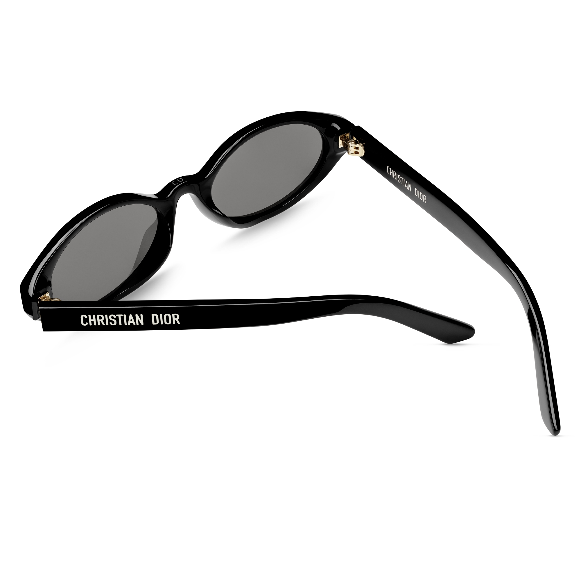 DiorPacific R1I Black Oval Sunglasses E09