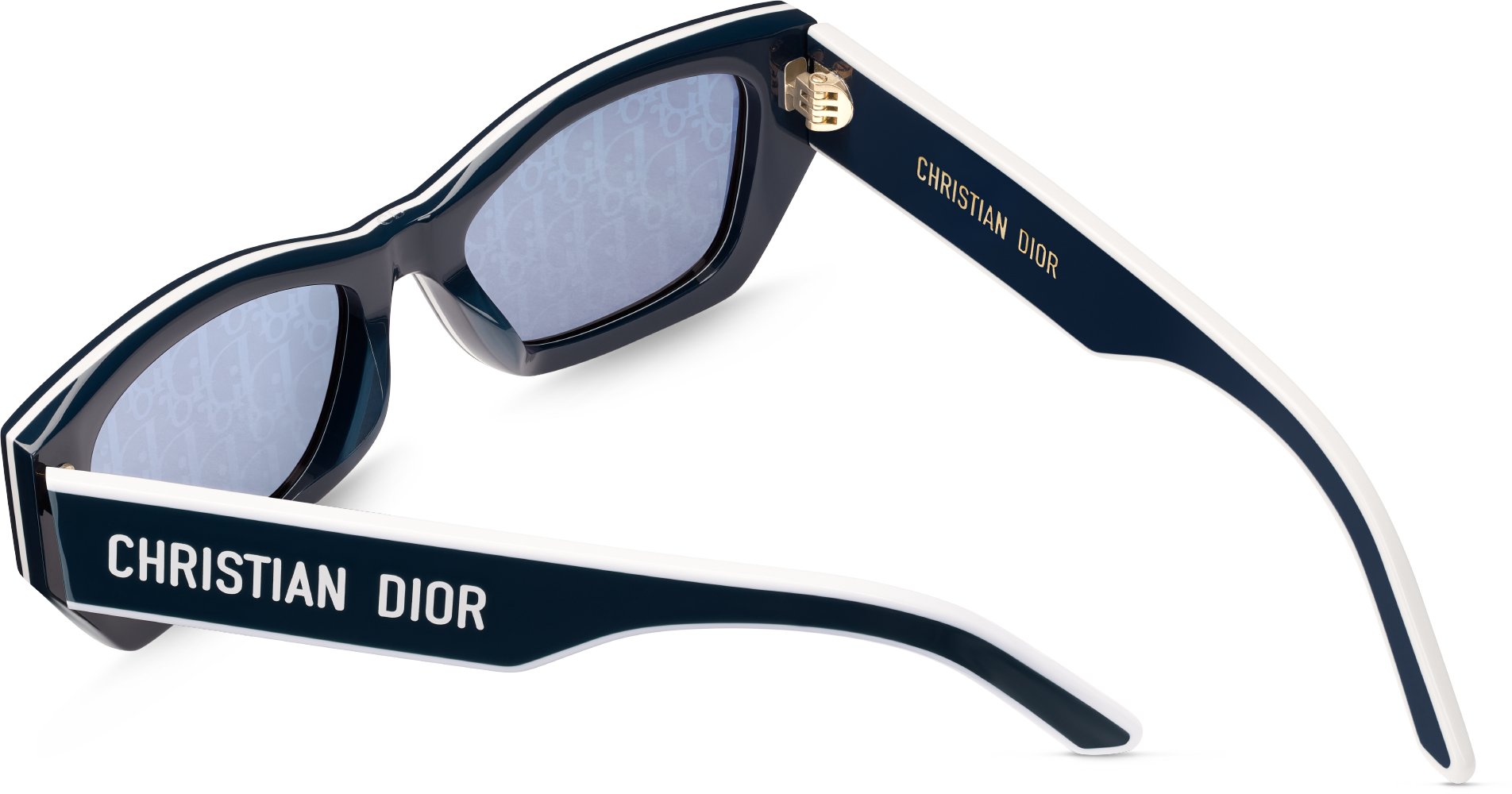 DiorPacific S2U aria_detailedView