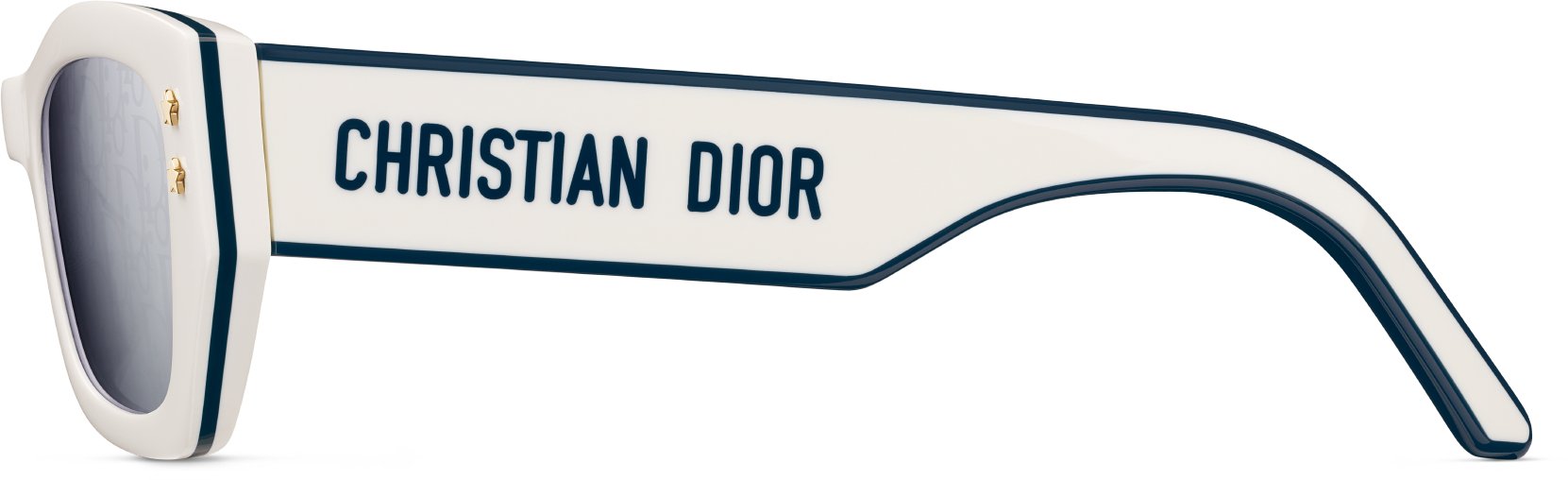 DiorPacific S2U aria_profileView