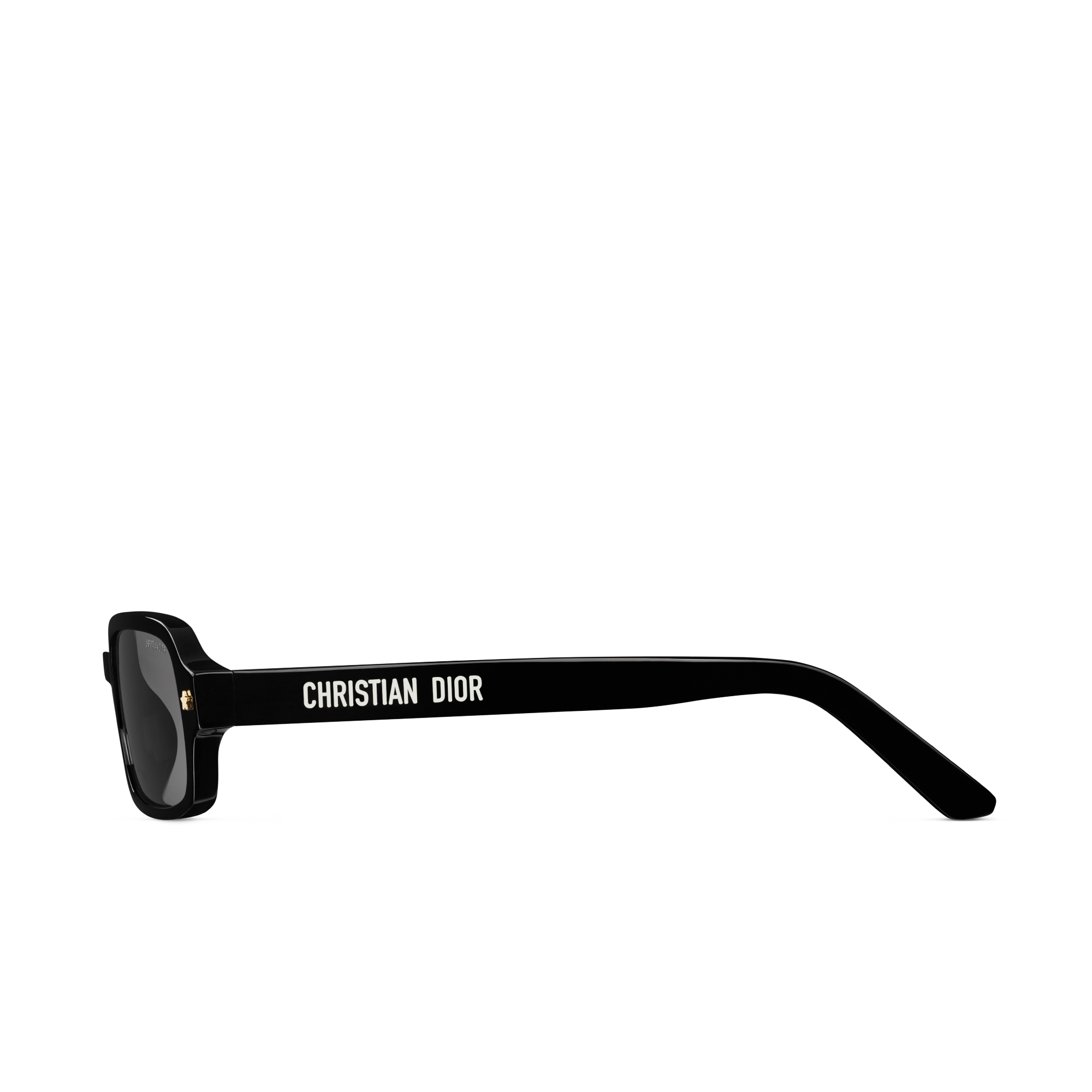 DiorPacific S3F 선글라스 블랙 직사각형 E02