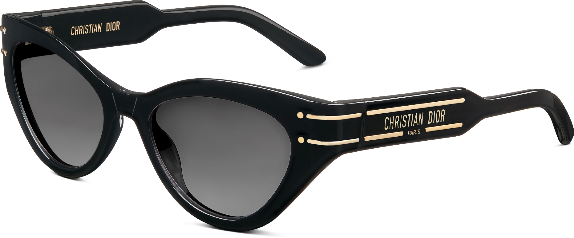 DiorSignature B7I Black Butterfly Sunglasses | DIOR