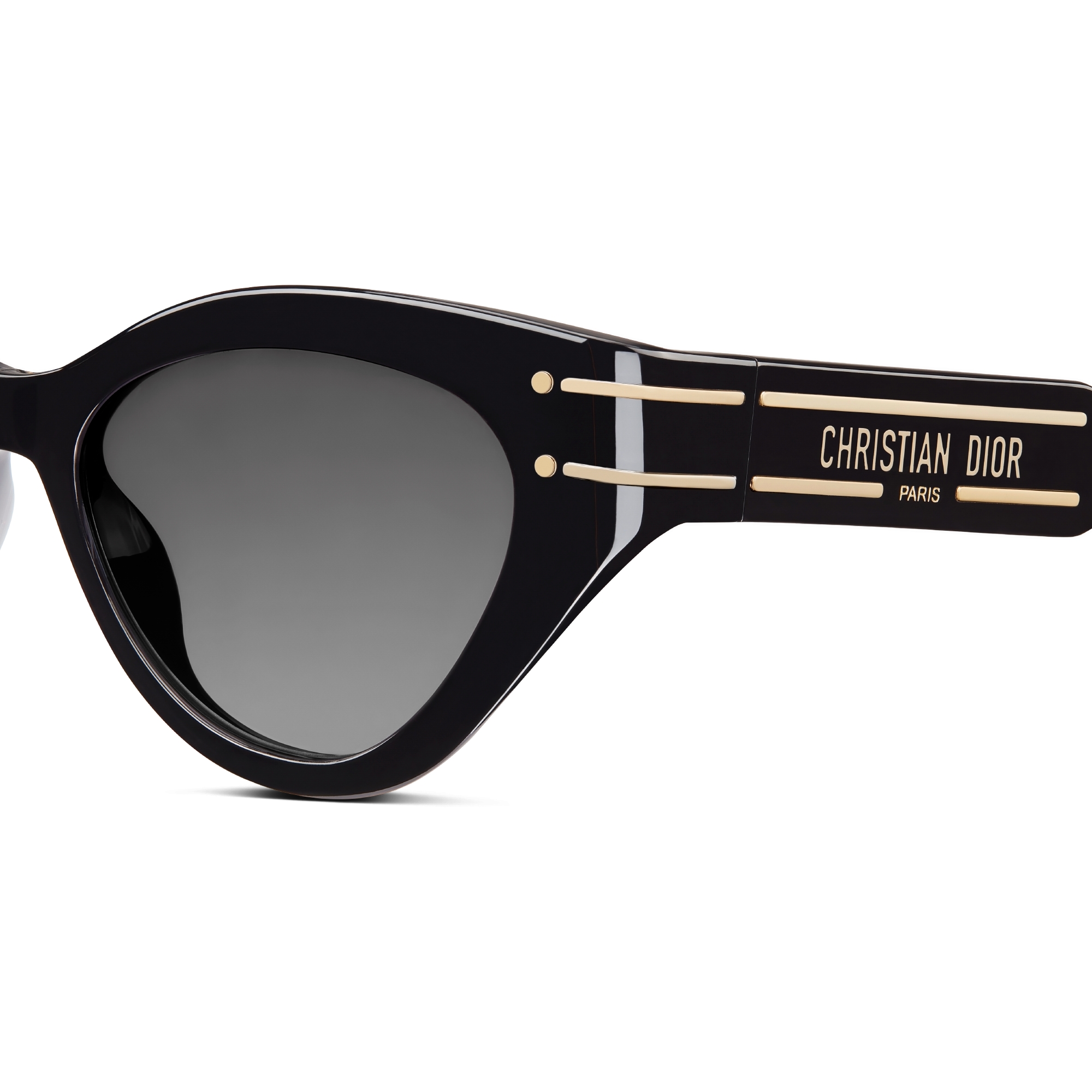 DiorSignature B7I Black Butterfly Sunglasses E10