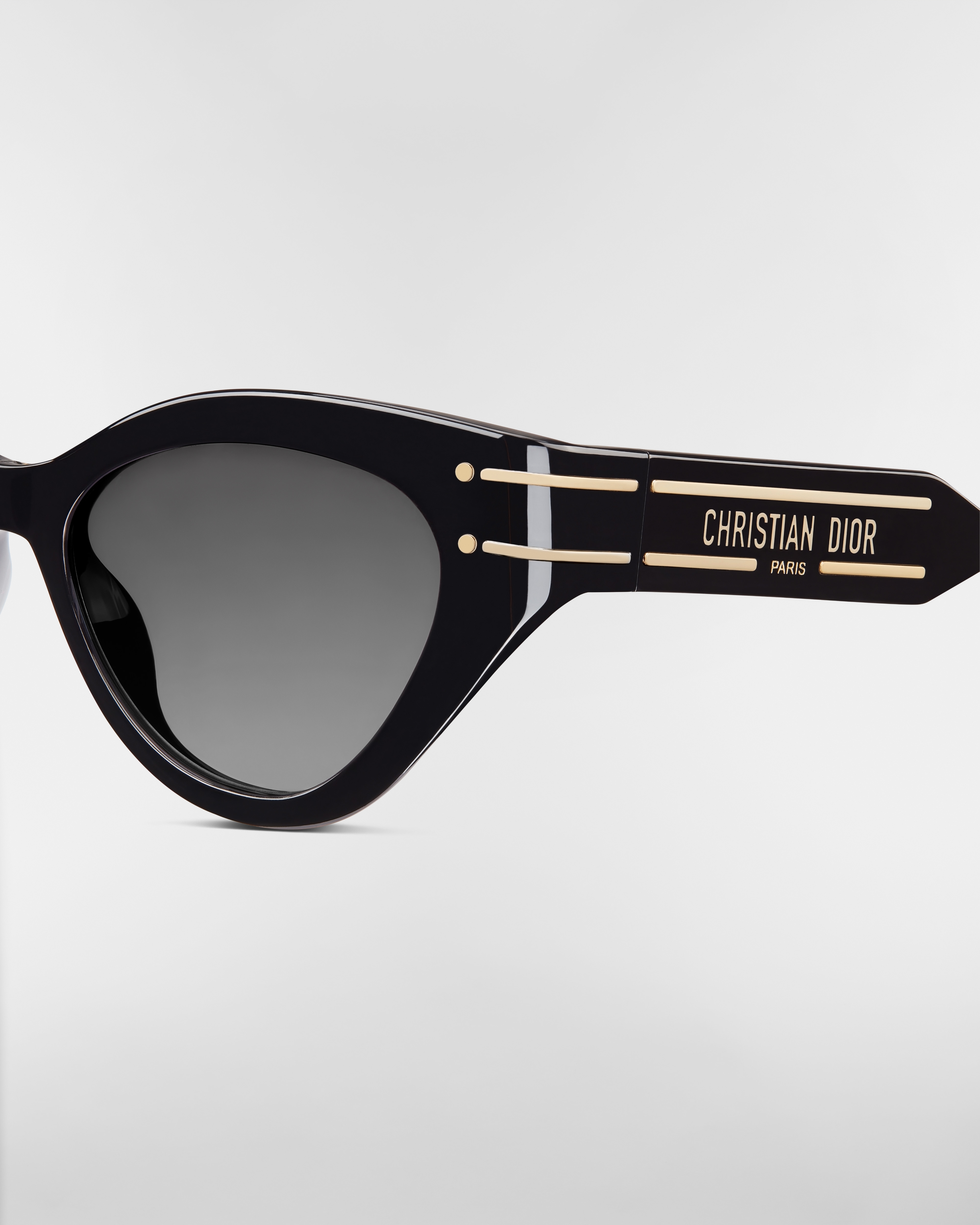 DiorSignature B7I Black Butterfly Sunglasses E10
