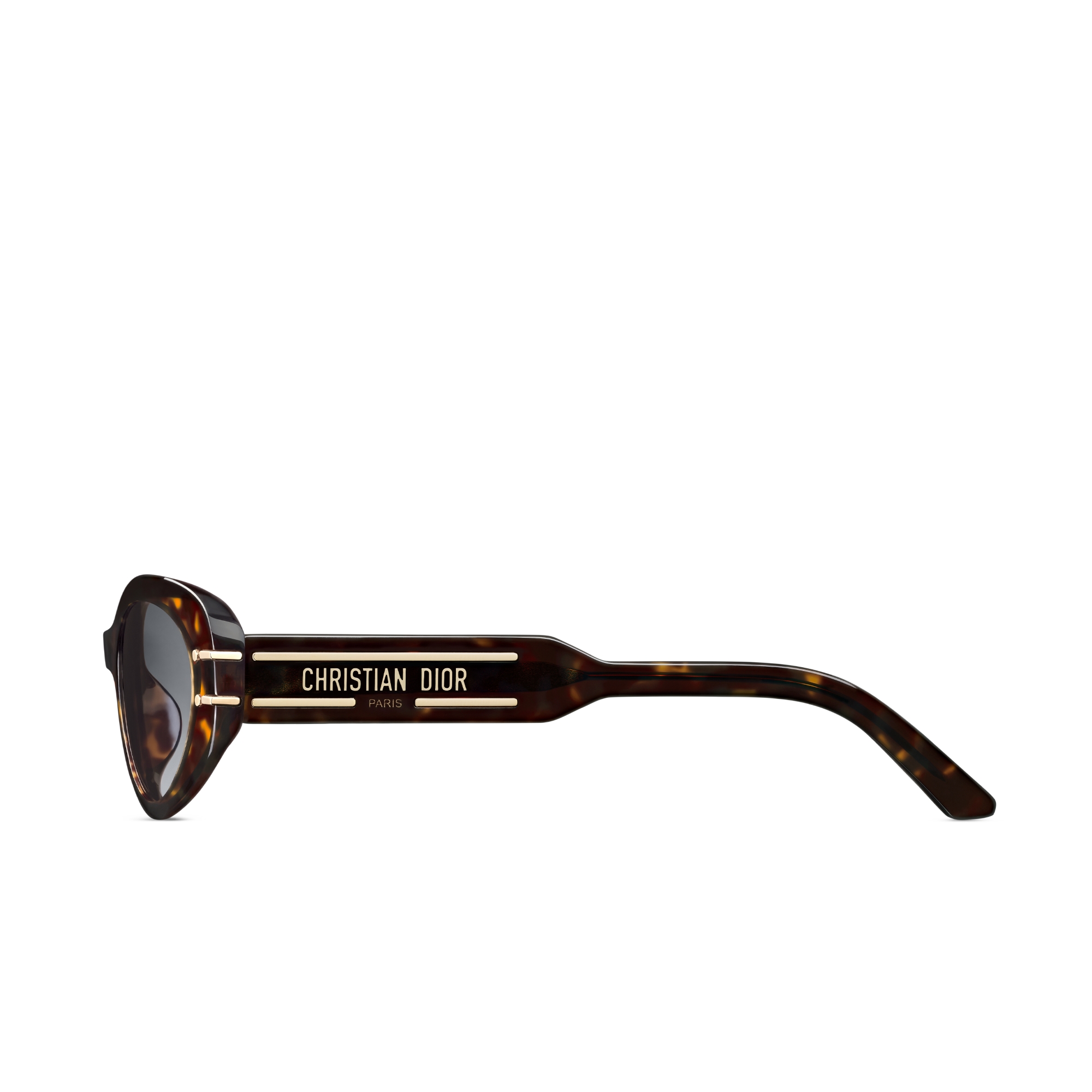 DiorSignature B8U Brown and Honey Tortoiseshell-Effect Oval Sunglasses E02
