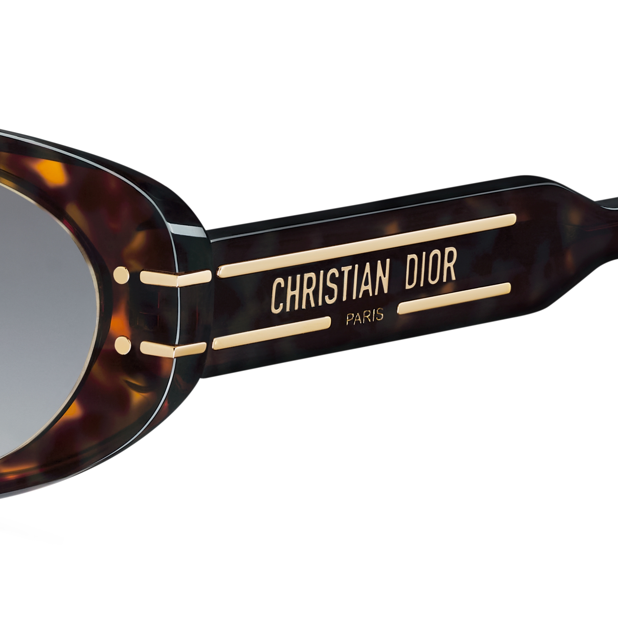 DiorSignature B8U Brown and Honey Tortoiseshell-Effect Oval Sunglasses E09