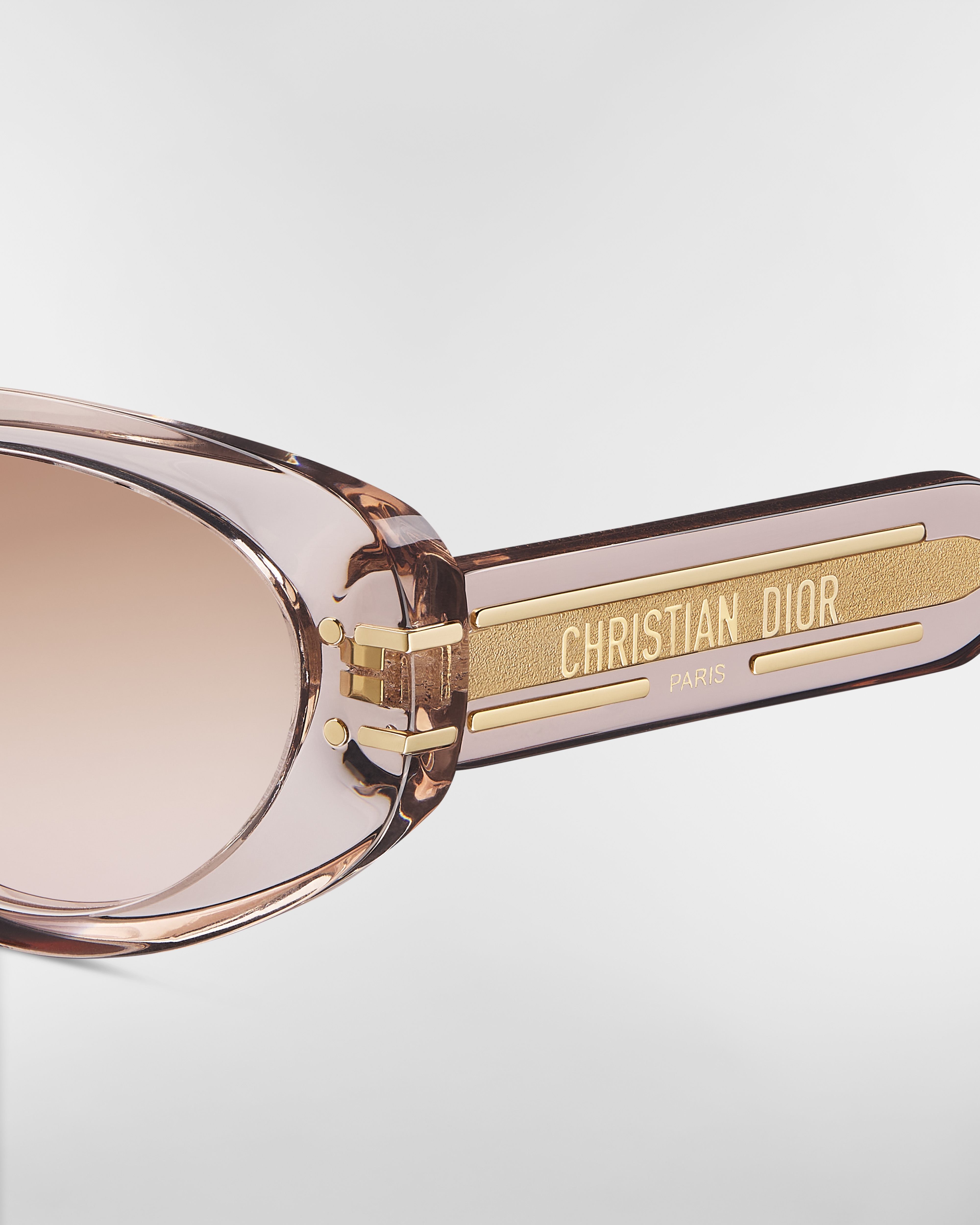 DiorSignature B8U Transparent Beige Oval Sunglasses E09