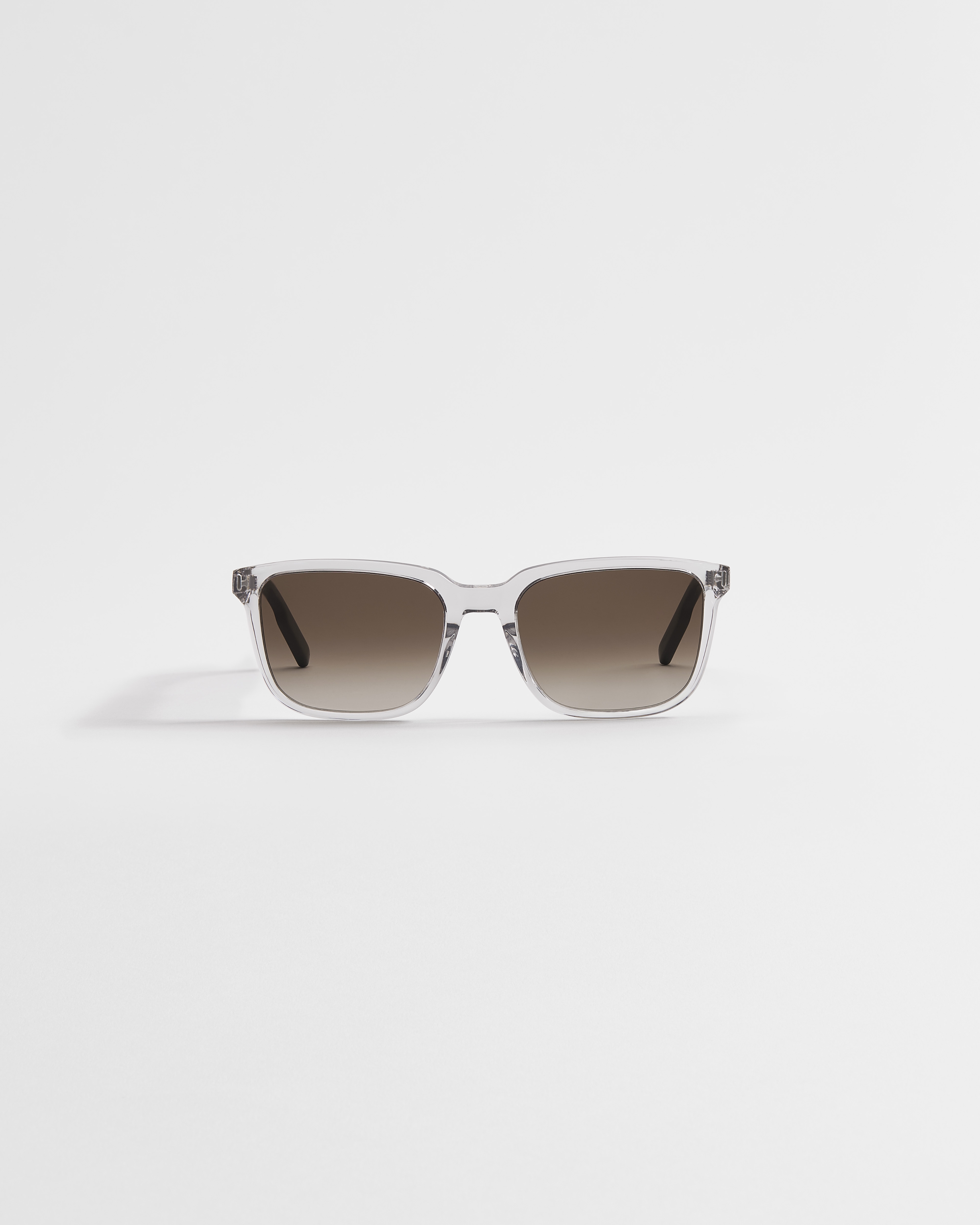 DiorTag SU Transparent Light Gray Rectangular Sunglasses E01