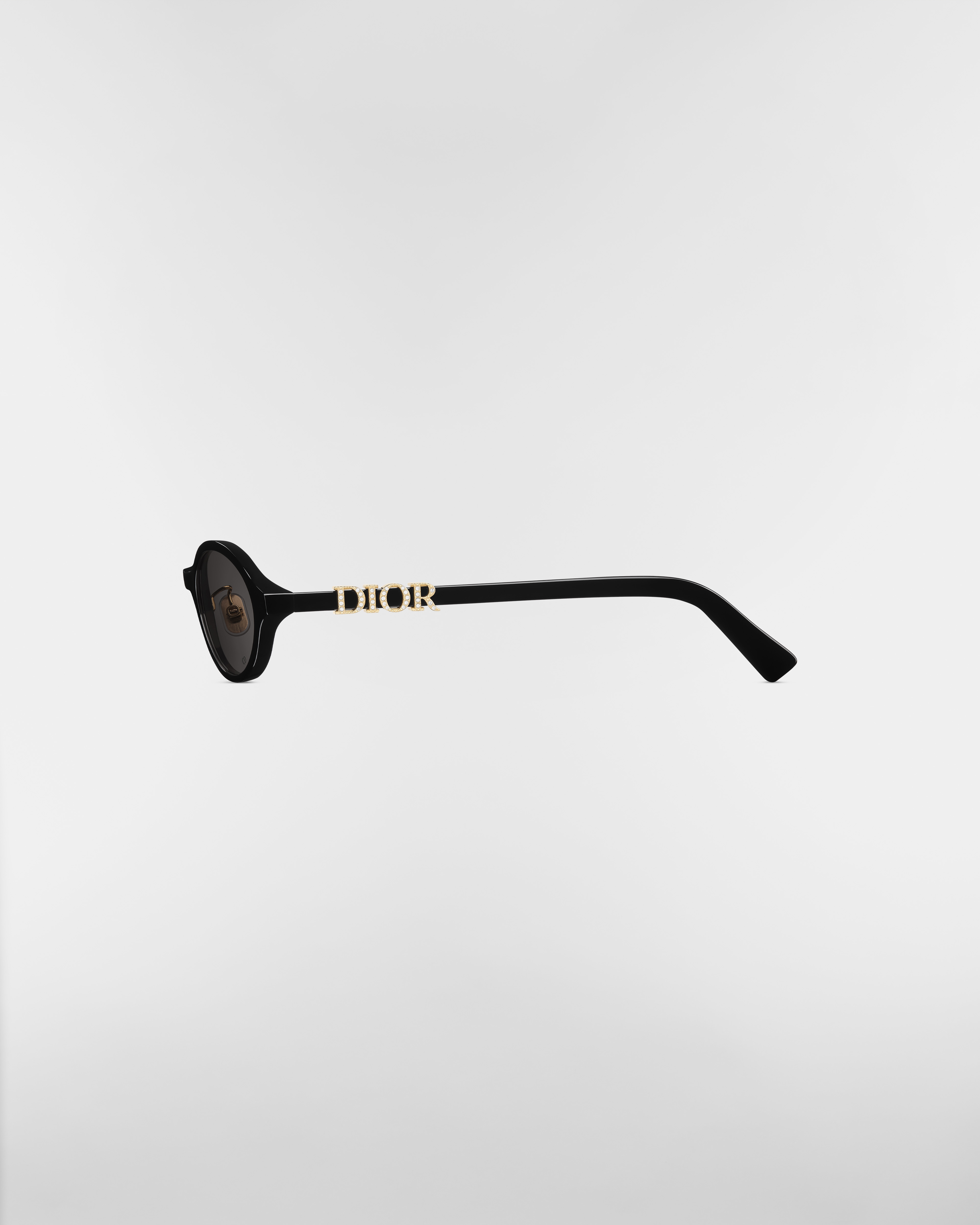 DiorTreasure R1F Black Oval Sunglasses E02