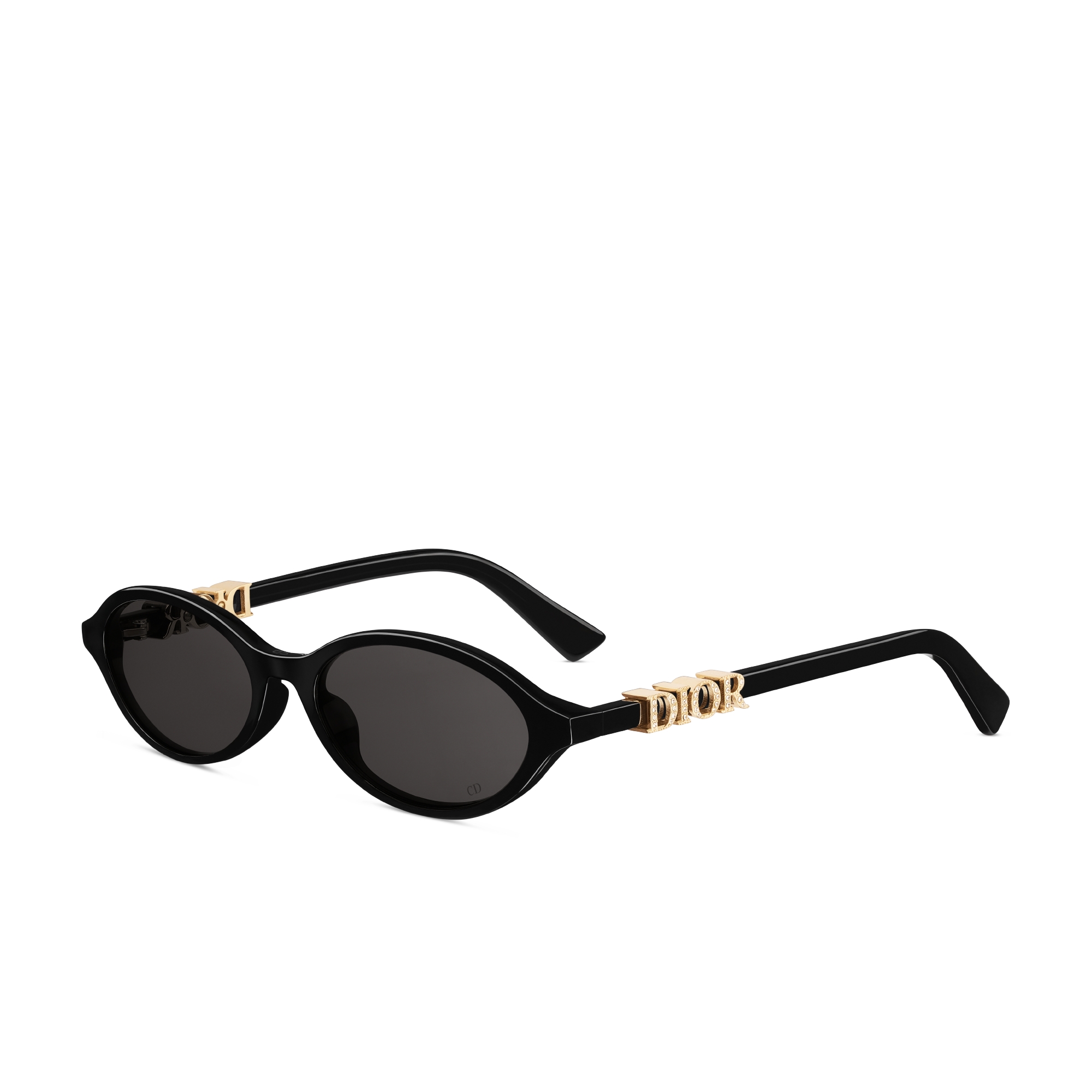 DiorTreasure R1I Ovale Sonnenbrille in Schwarz E03