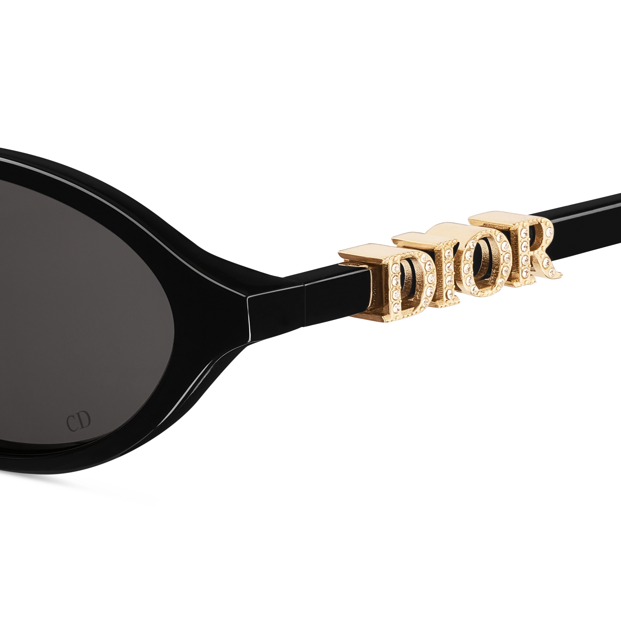 DiorTreasure R1I Black Oval Sunglasses E09