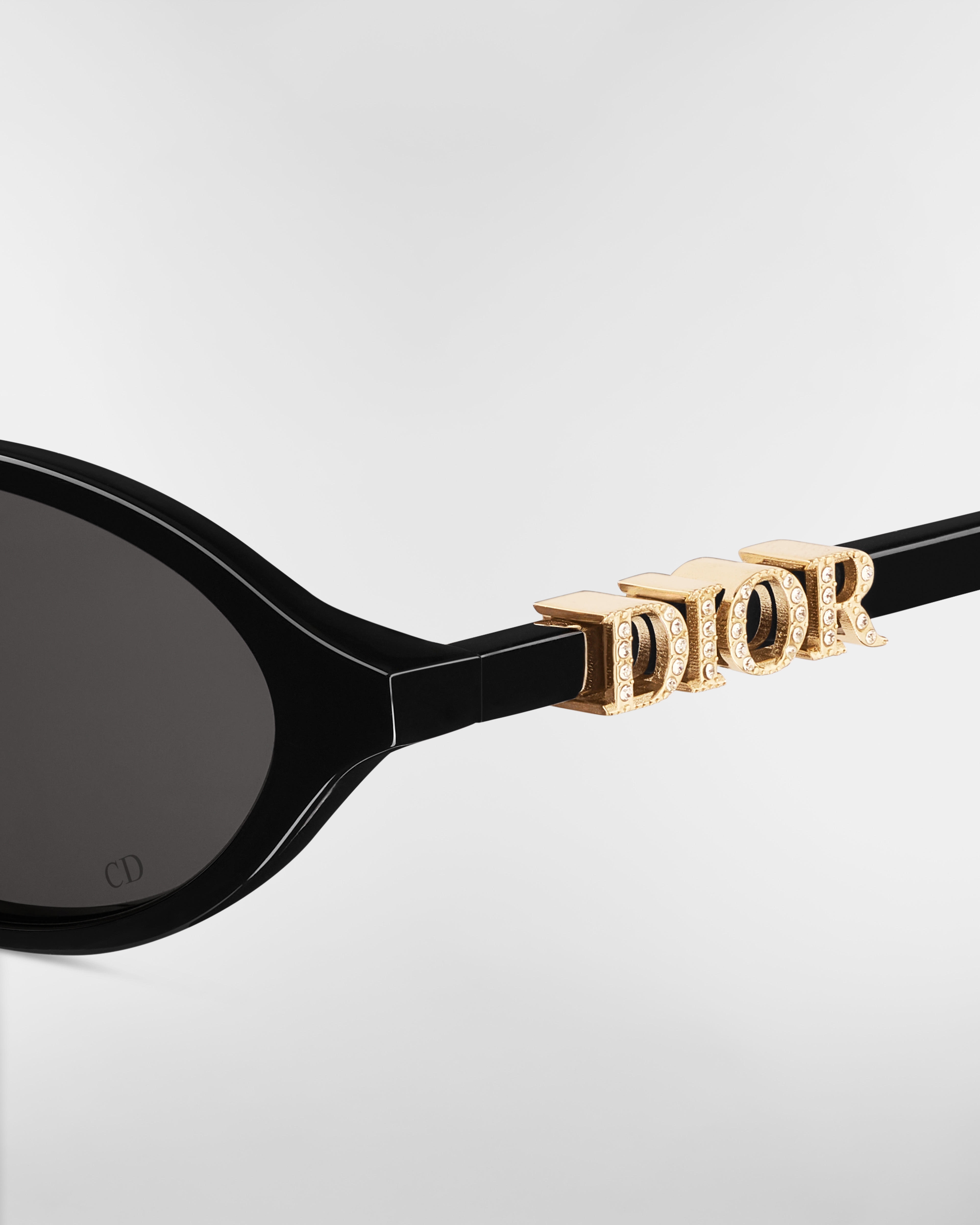 DiorTreasure R1I Lunettes de soleil ovales noires E09