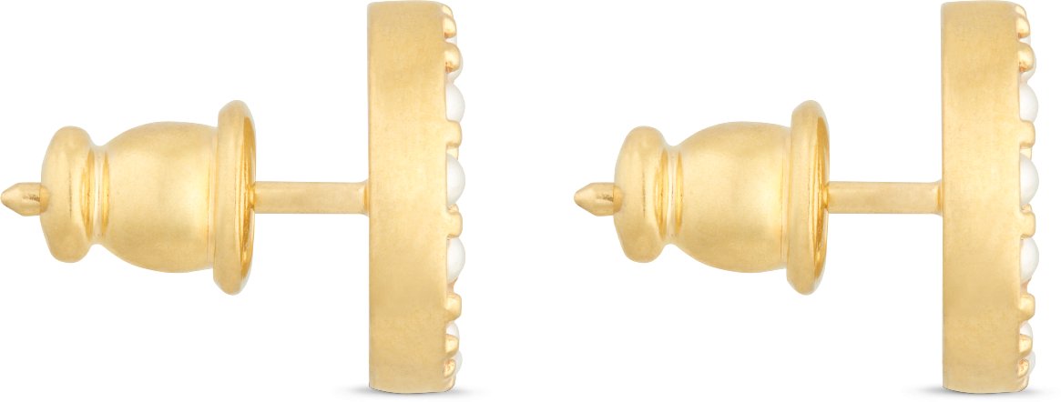 Dior studs clearance
