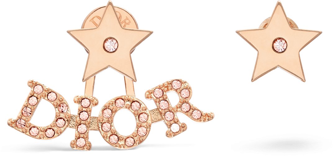 Dior evolution earrings sales