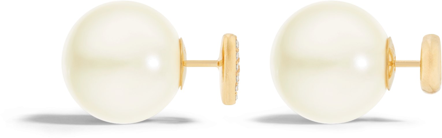 Dior Tribales Earrings Profile view