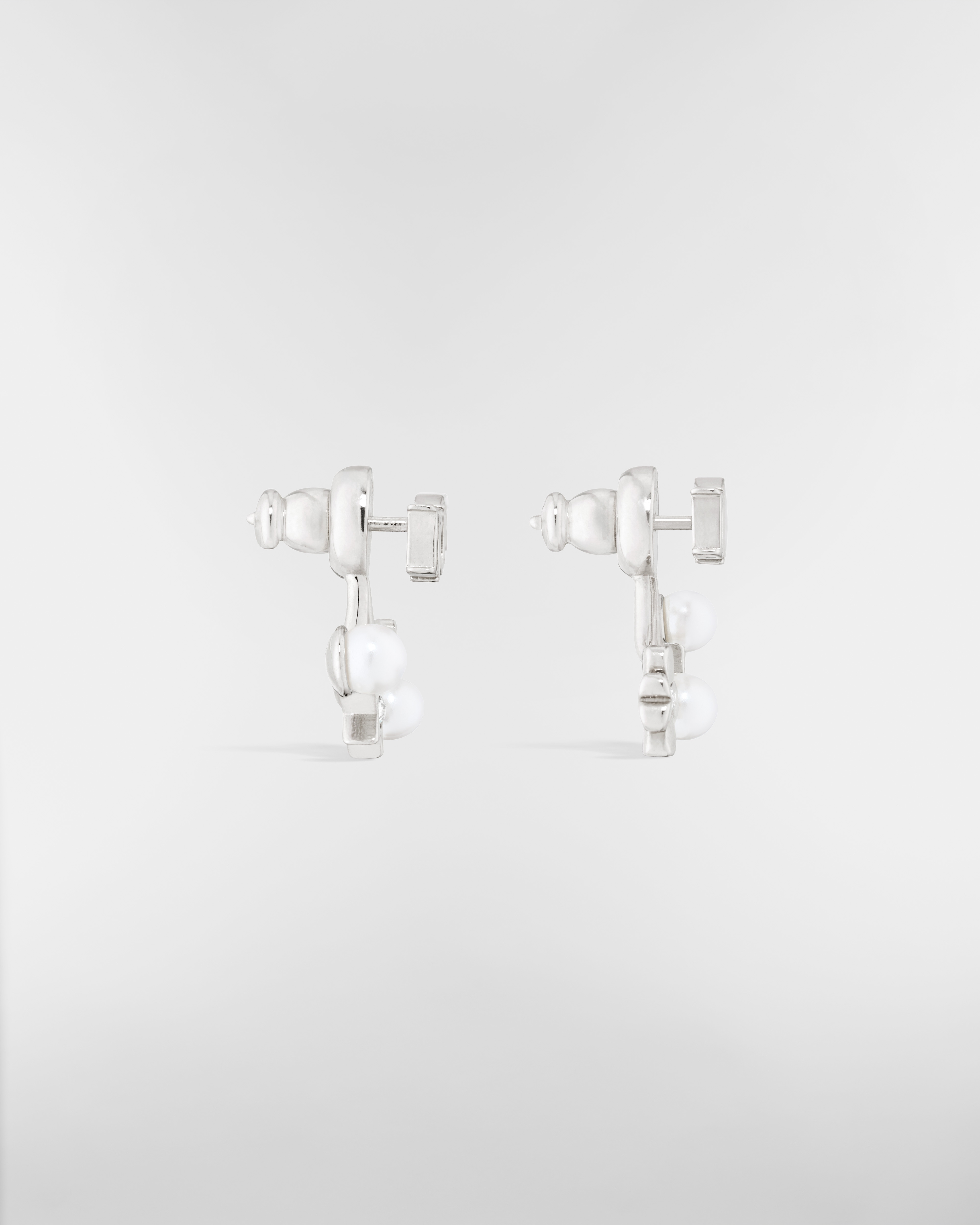 Dio(r)evolution Earrings