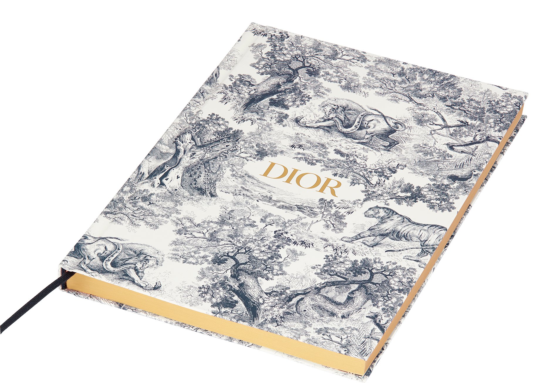 Christian dior notebook clearance
