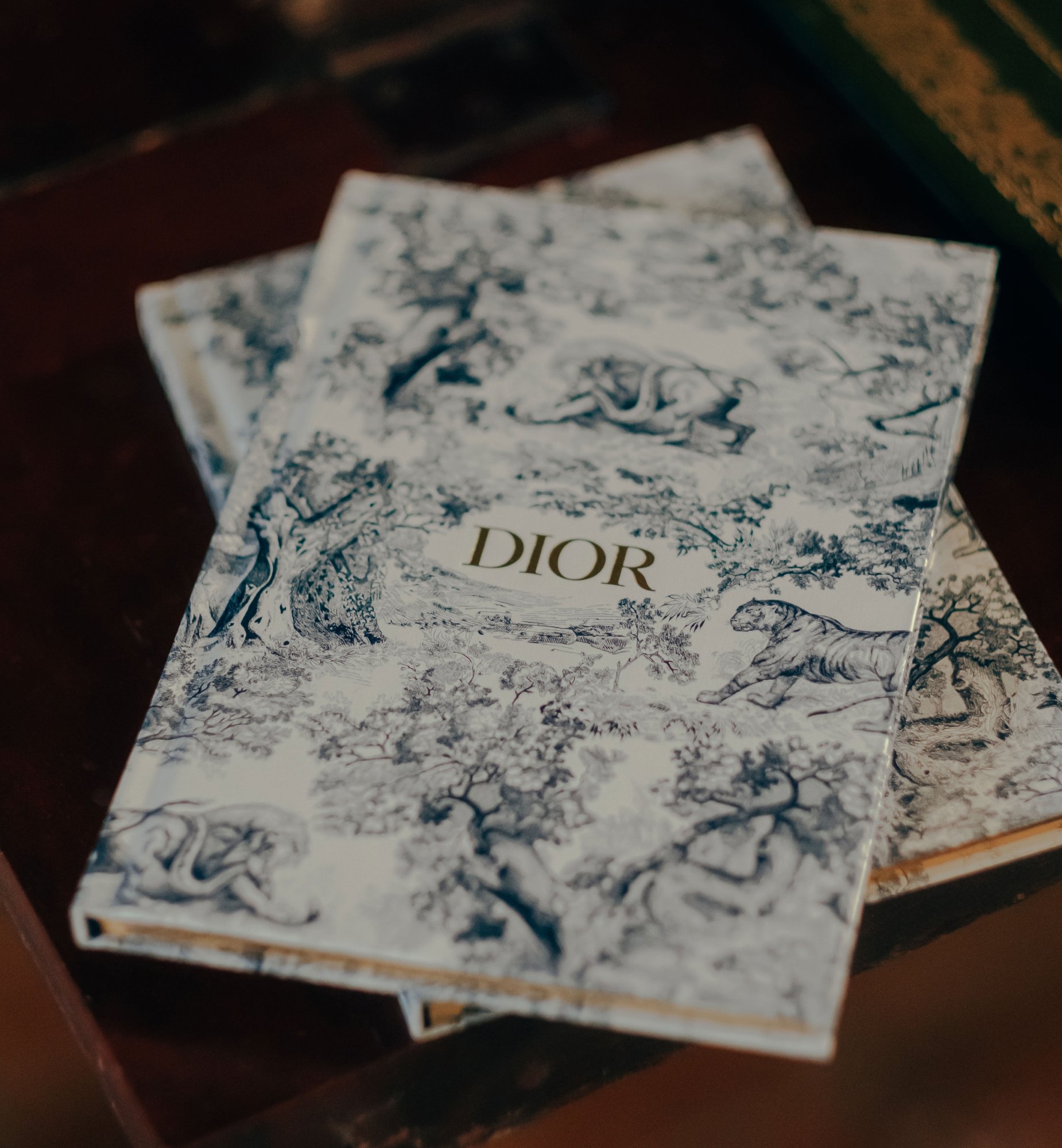 Dior totebook on sale