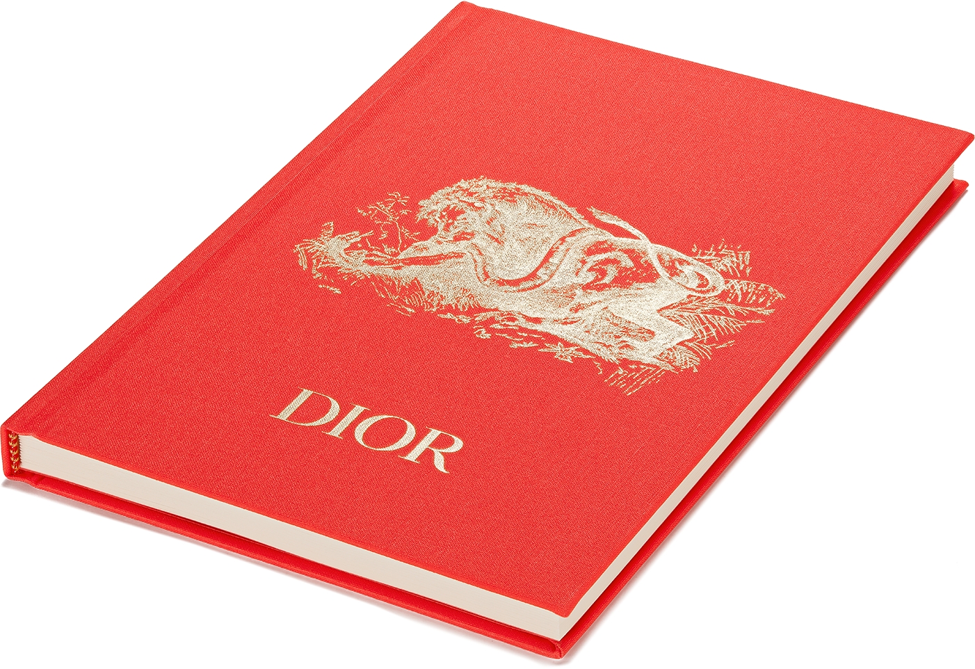 Notebook Dioriviera, Coral | DIOR
