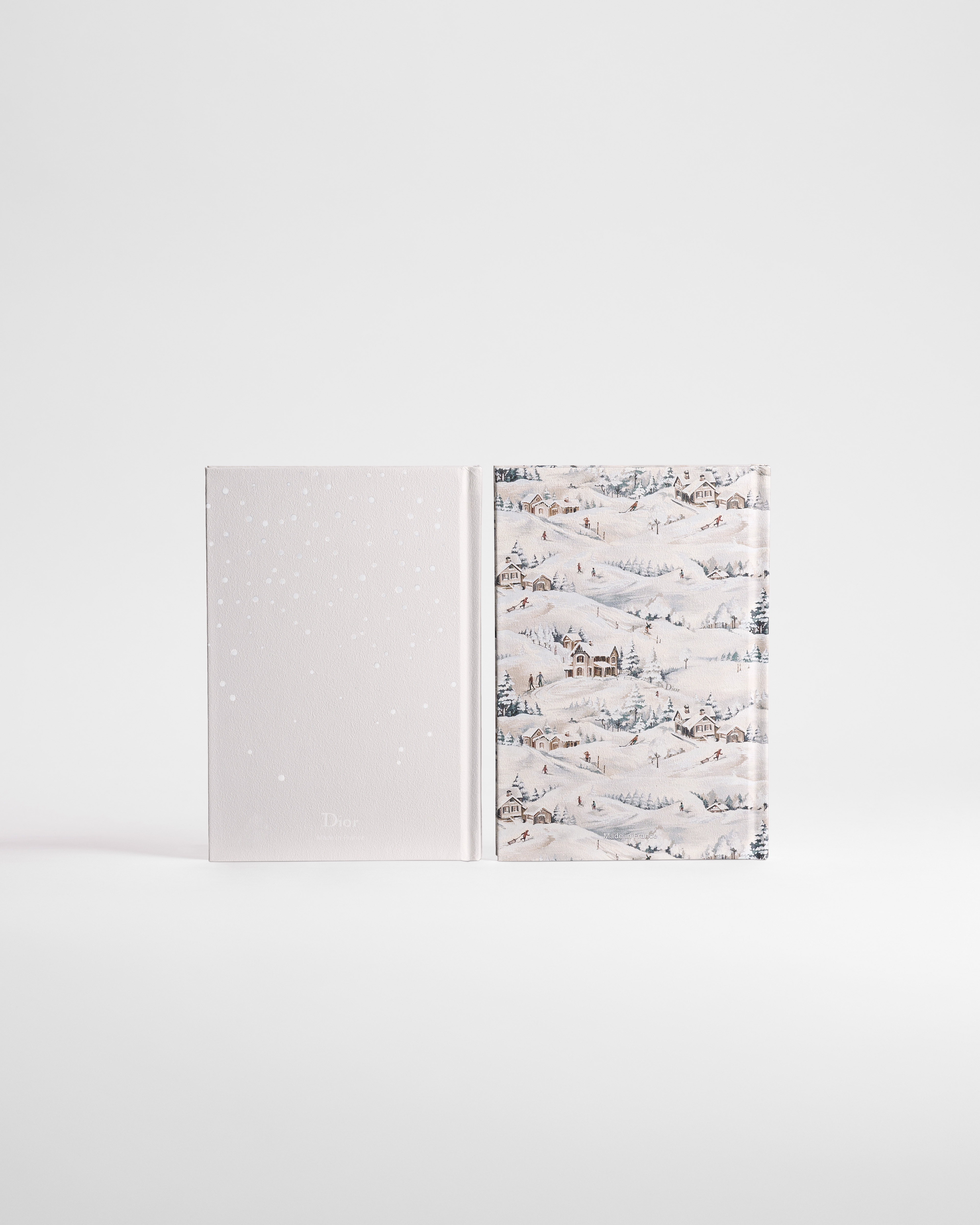 Set di 2 taccuini DiorAlps Copertina grigia con motivo Dior d’Hiver multicolore E08