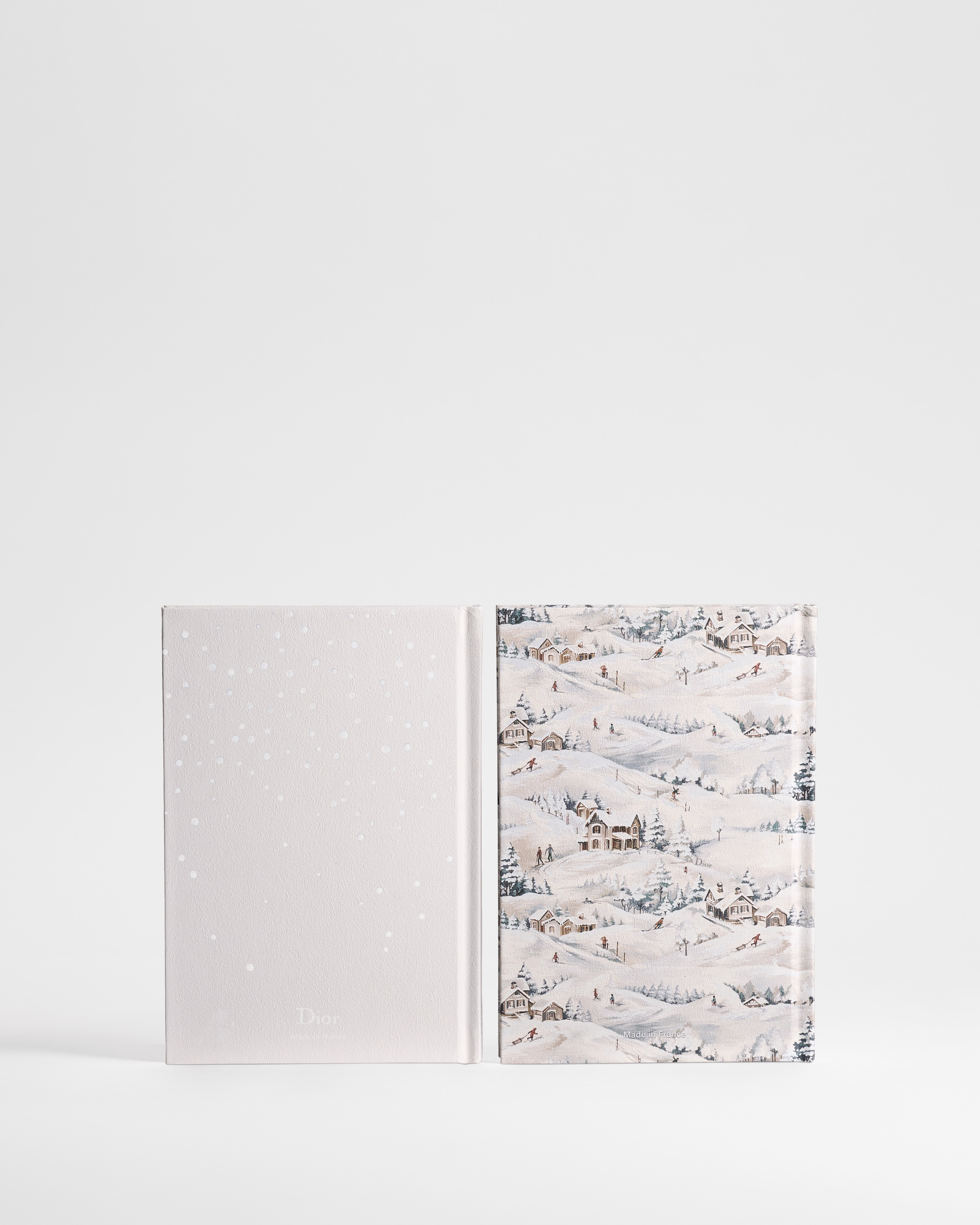 Set of Two DiorAlps Notebooks Gray Cover with Multicolor Dior d'Hiver Motif E08