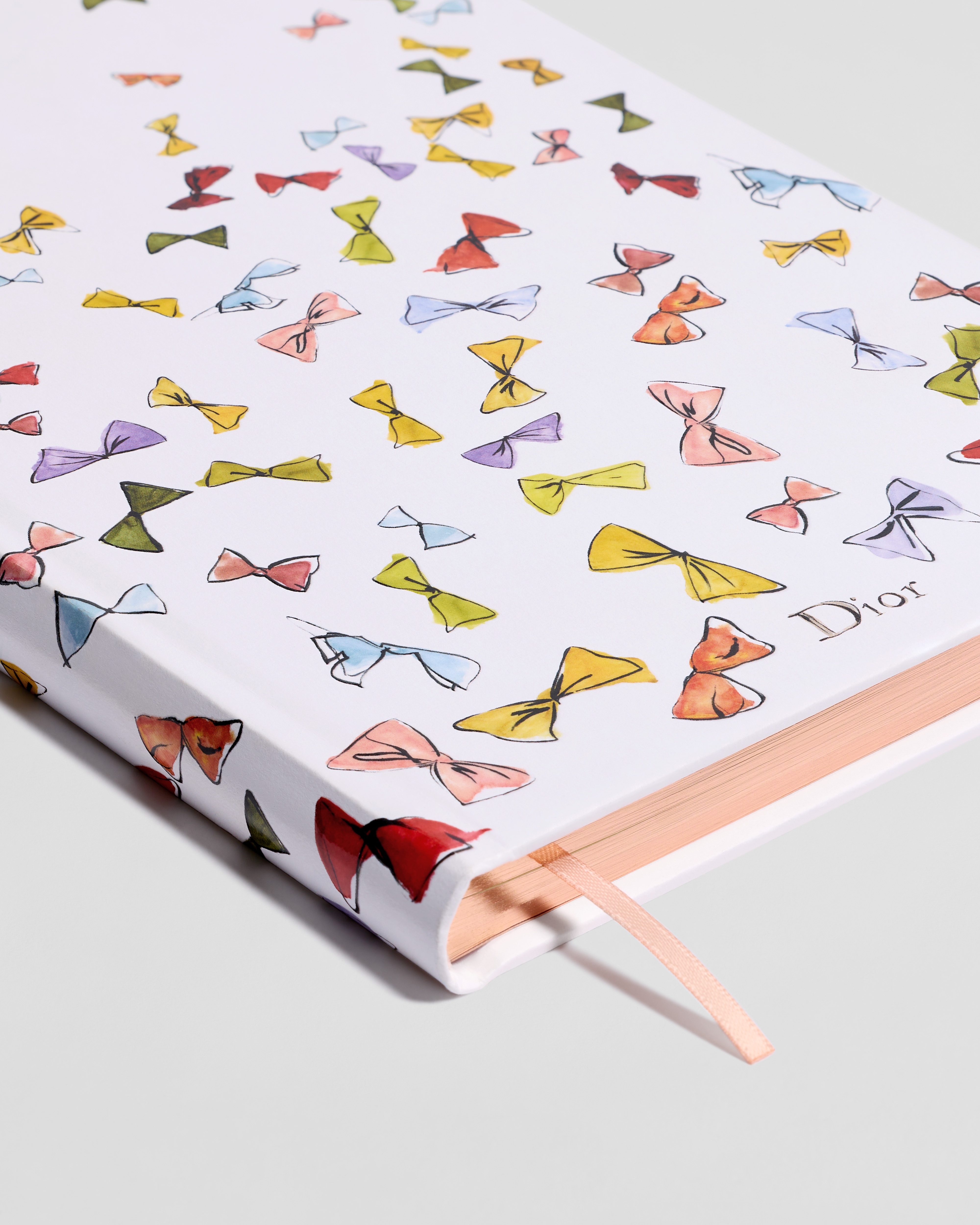 Carnet Couverture blanche à motif Dior Bows multicolore E10
