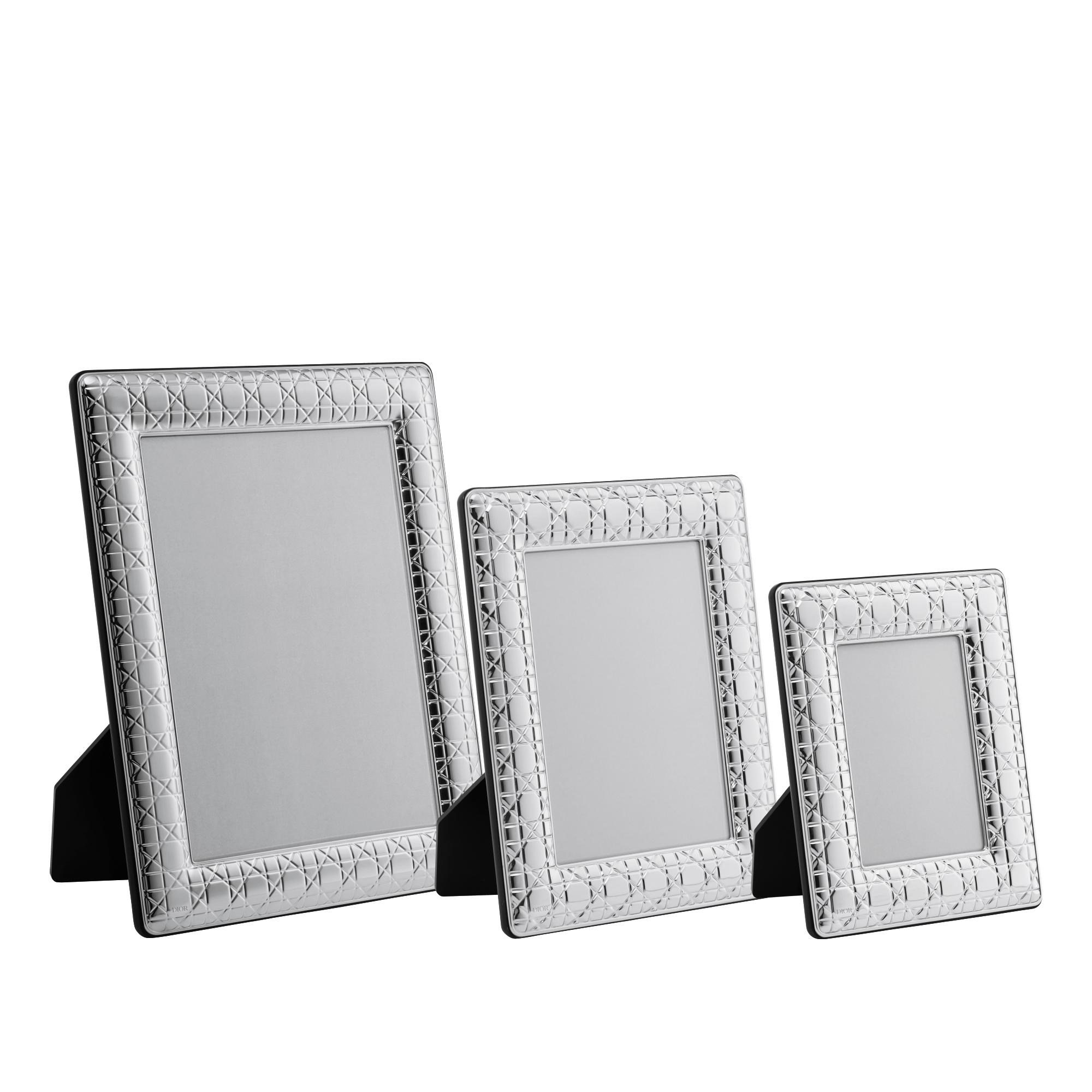 Large Frame