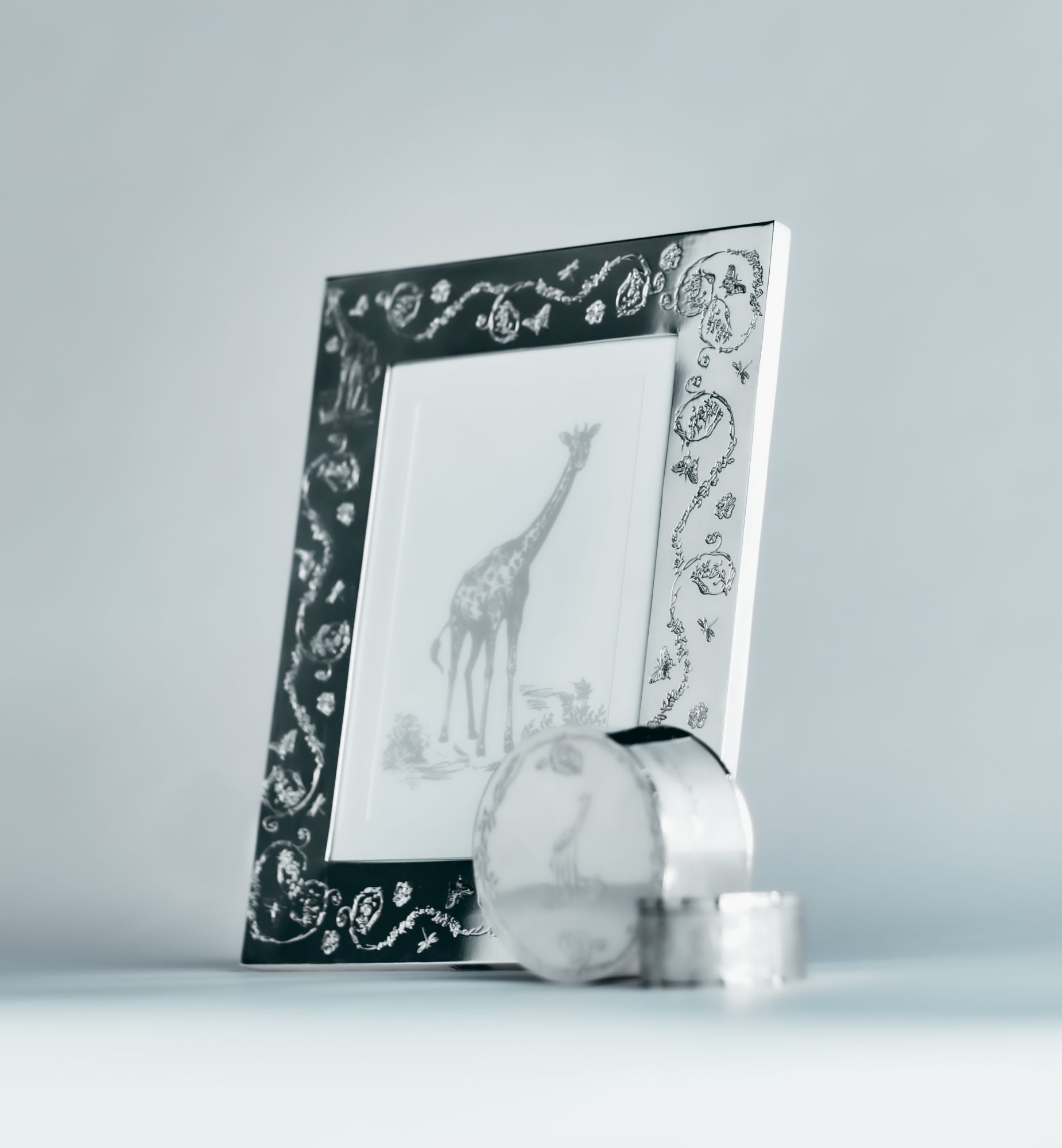 Large Frame