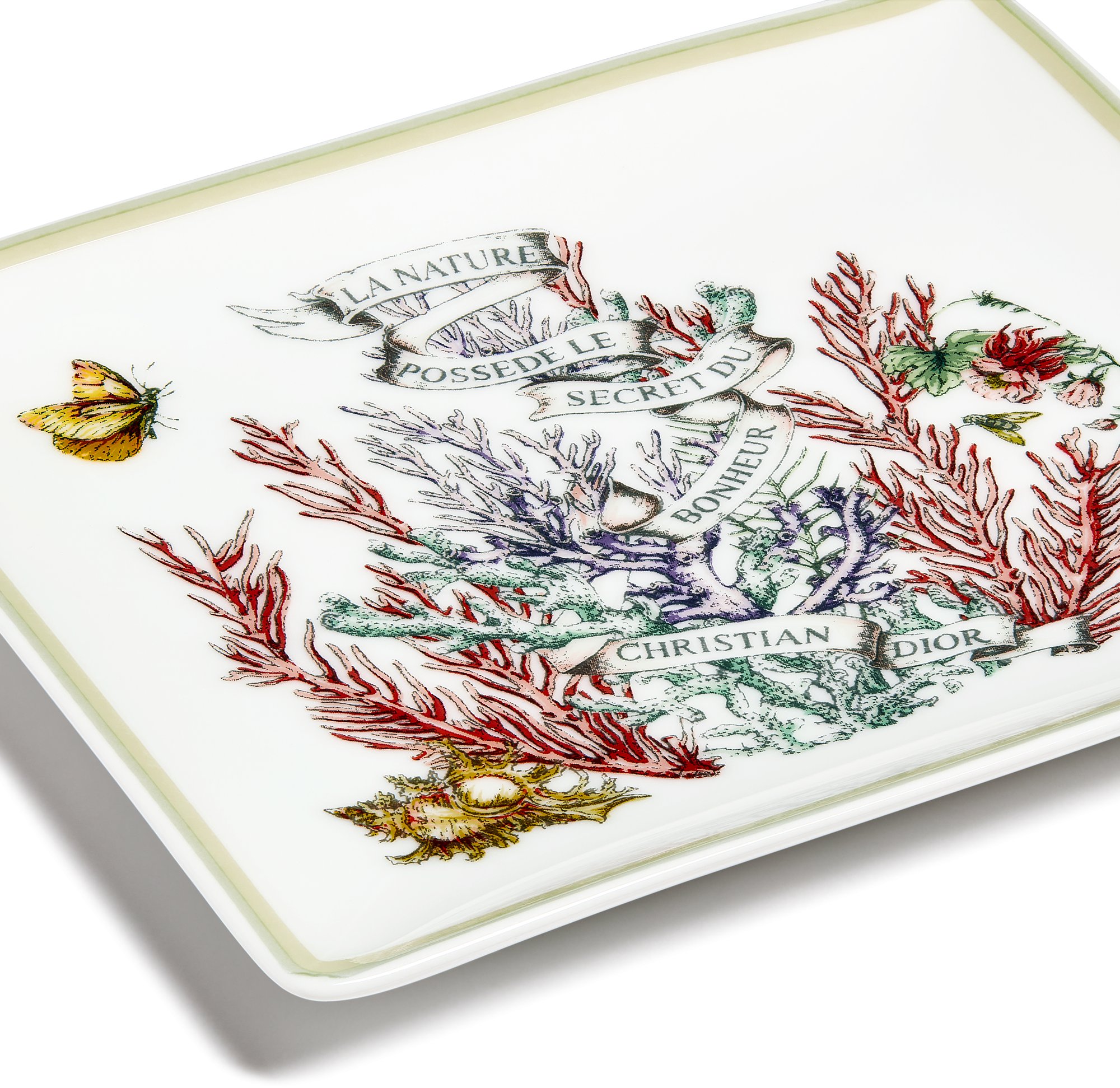 Porcelaine De Mer 5 Lettres
