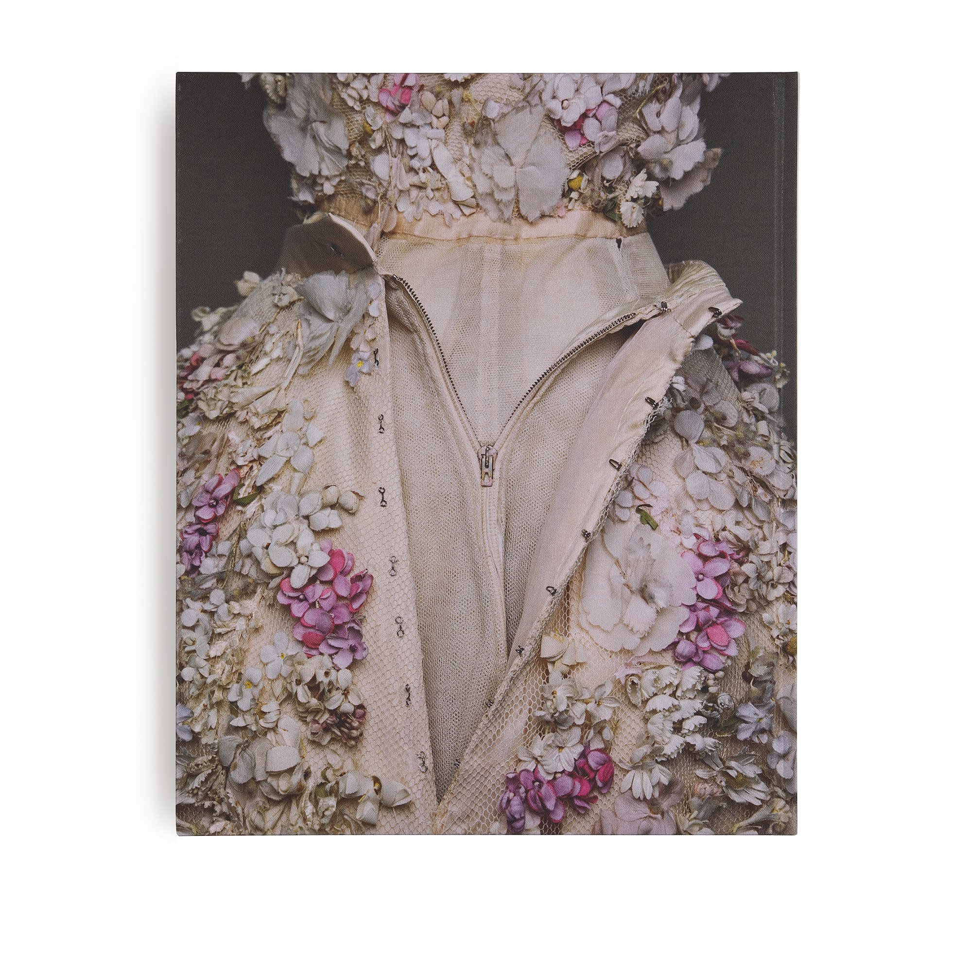 Book: Photography, Christian Dior by Brigitte Niedermair English Version |  DIOR