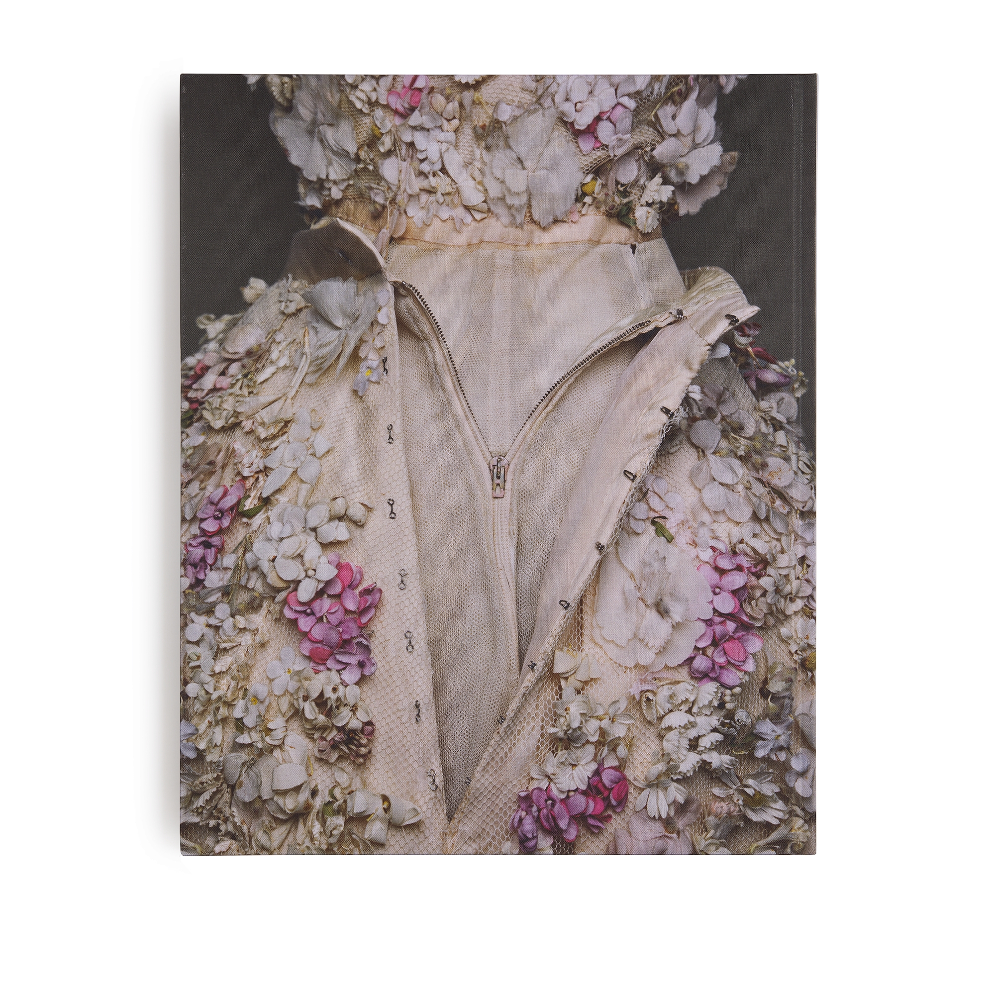 Livre : Christian Dior par Brigitte Niedermair Version française E12