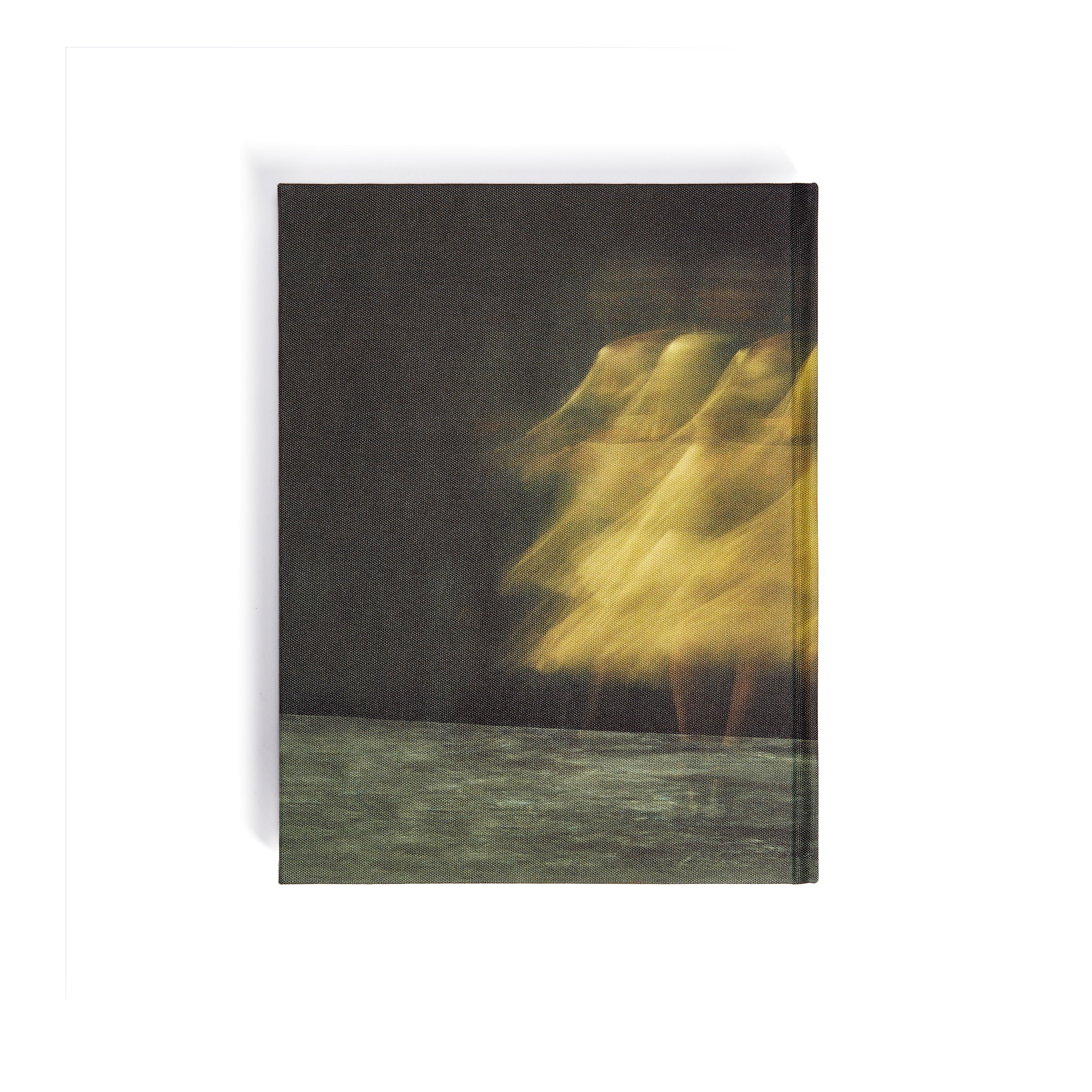 Book: Christian Dior Designer of Dreams, クリスチャン・ディオール、夢のクチュリエ, Exhibition in Japan Japanese Version with Booklet in English E08